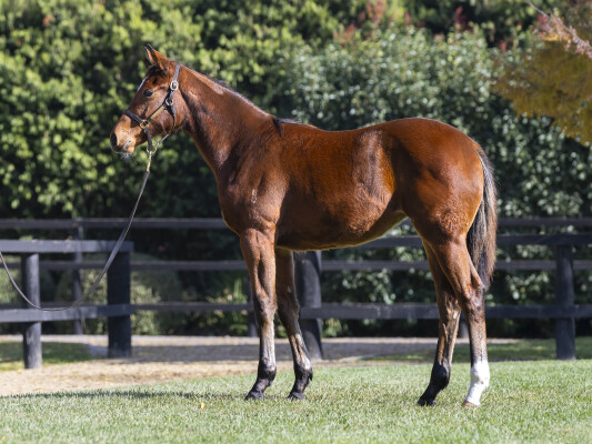 Lot 291: Sejardan / And Rock