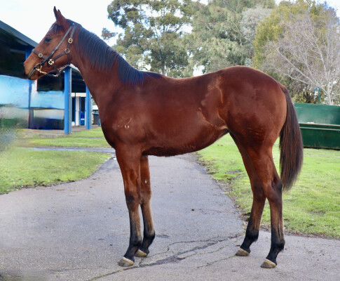 Lot 257: I Am Immortal / Tickets to Kiss