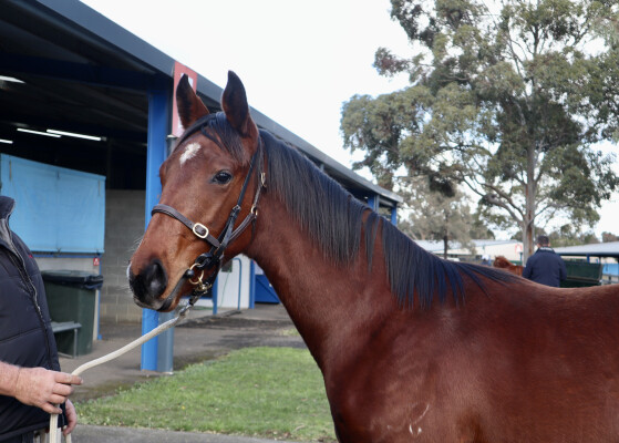 Lot 257: I Am Immortal / Tickets to Kiss