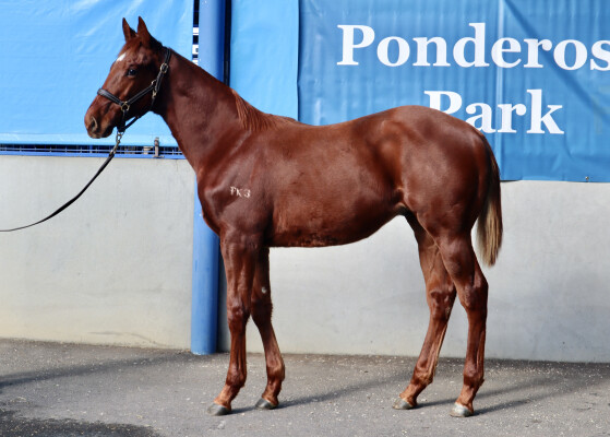 Lot 272: Dirty Work / Victory