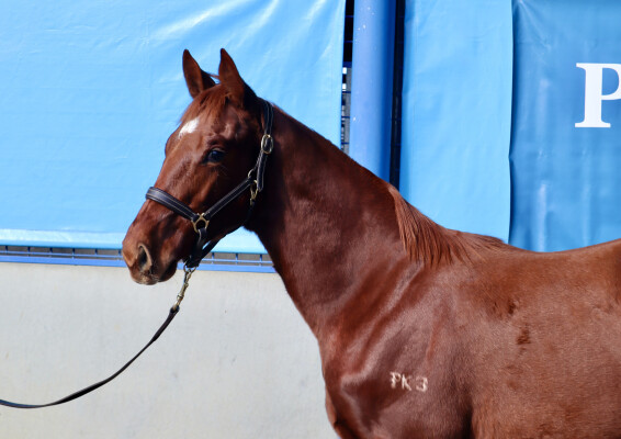 Lot 272: Dirty Work / Victory