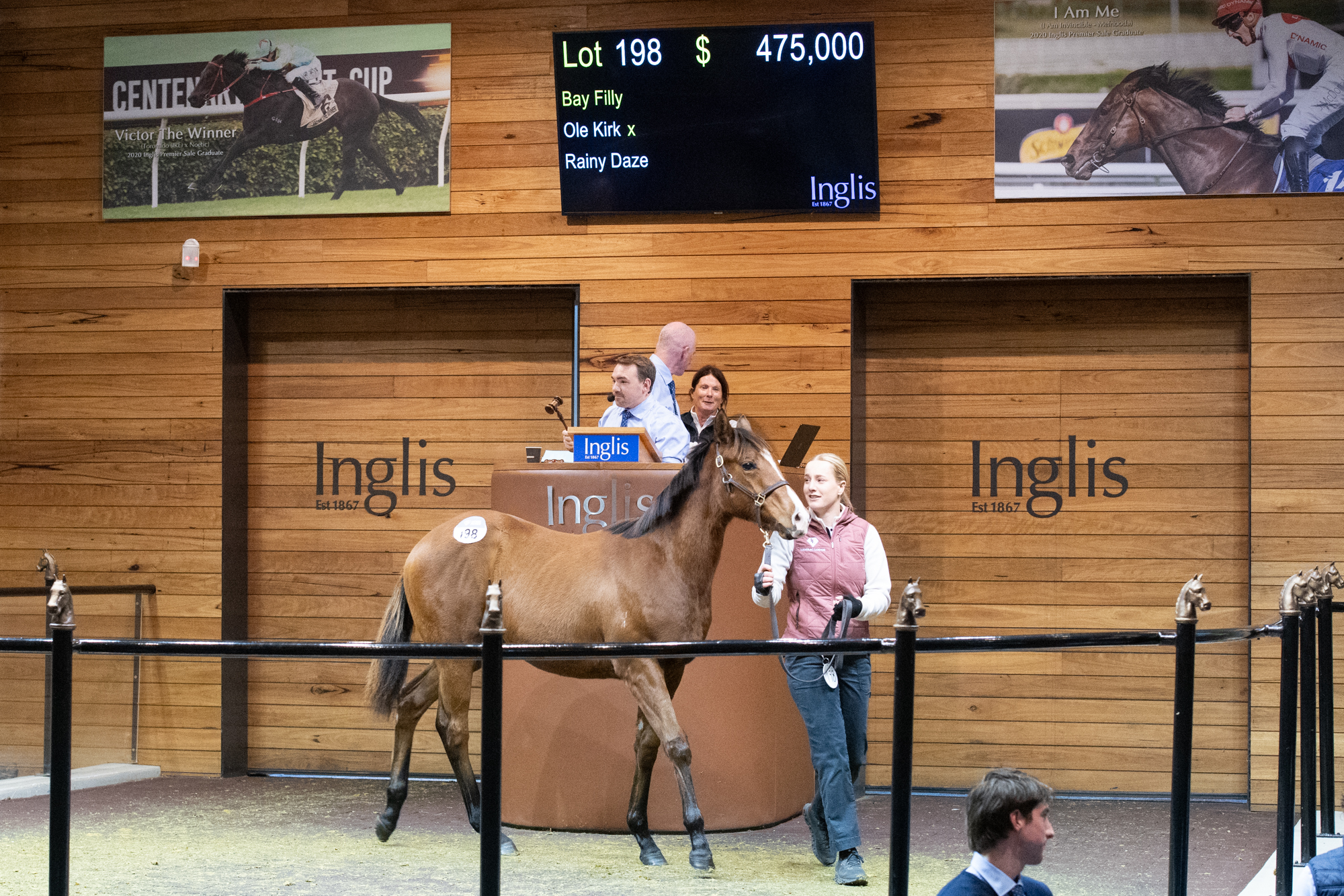 Record Breeding Stock Sales Series ends on a high