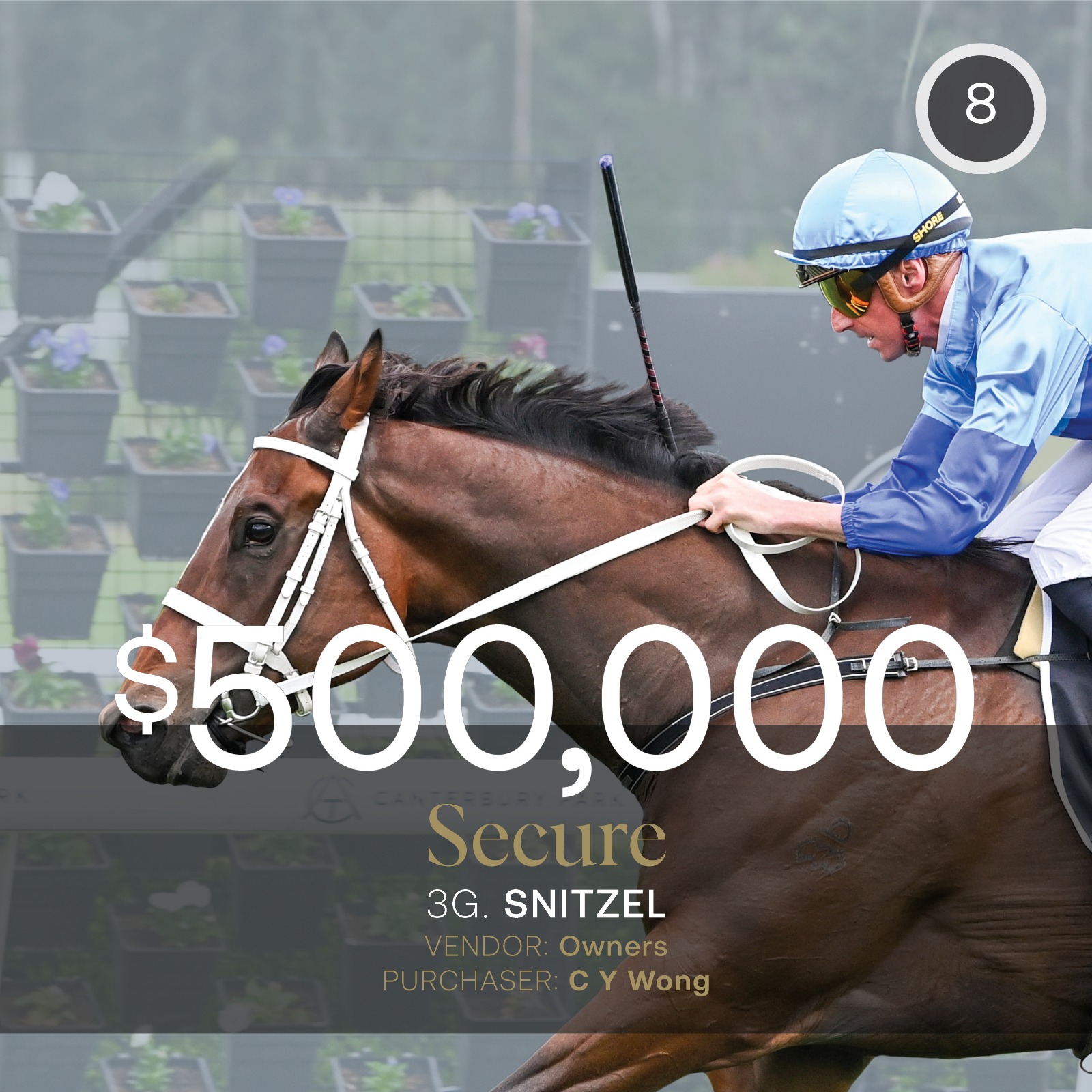 Hong Kong buyers to the fore as Secure tops June (Late) Sale at $500,000