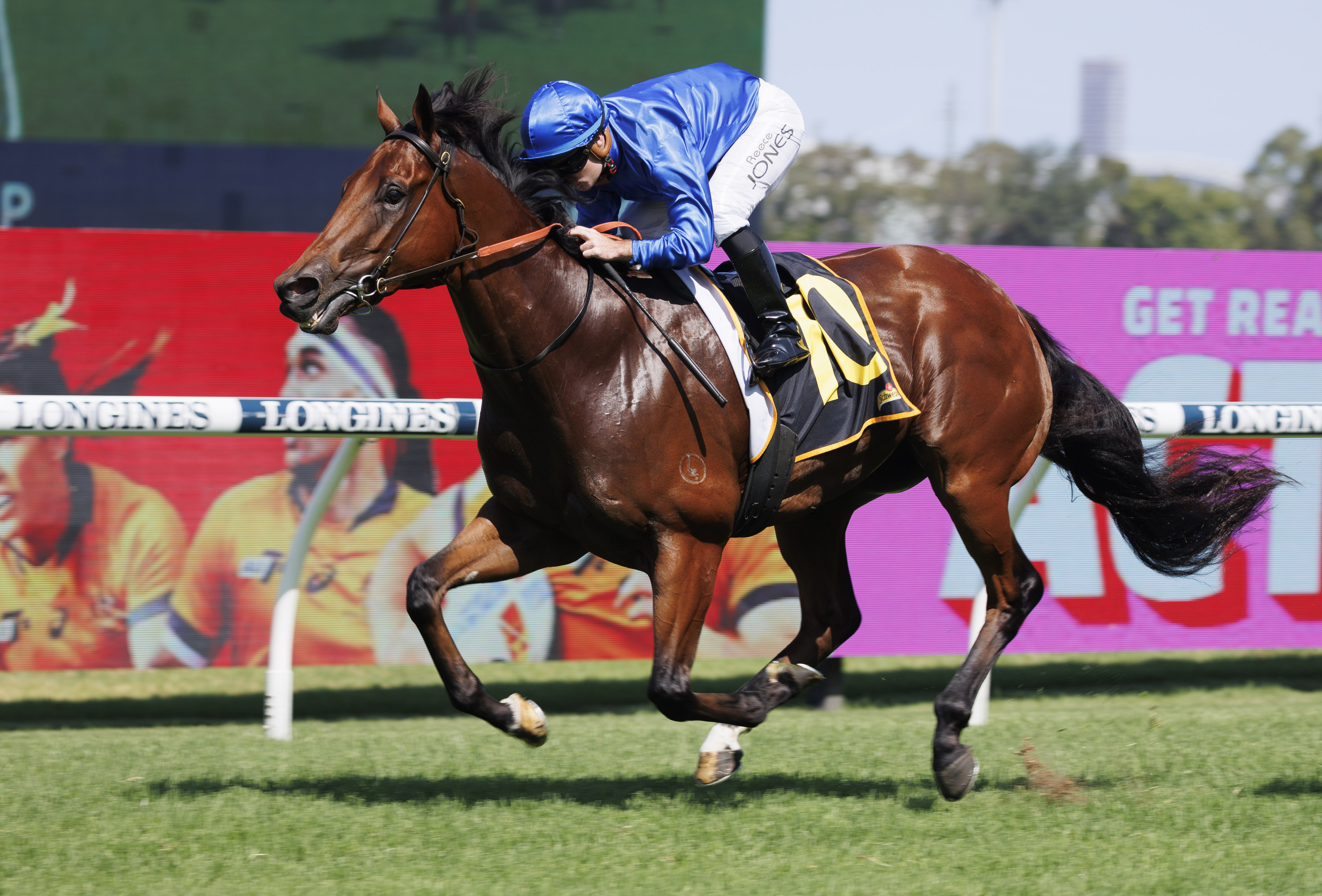 Huge July (Early) catalogue oozes quality