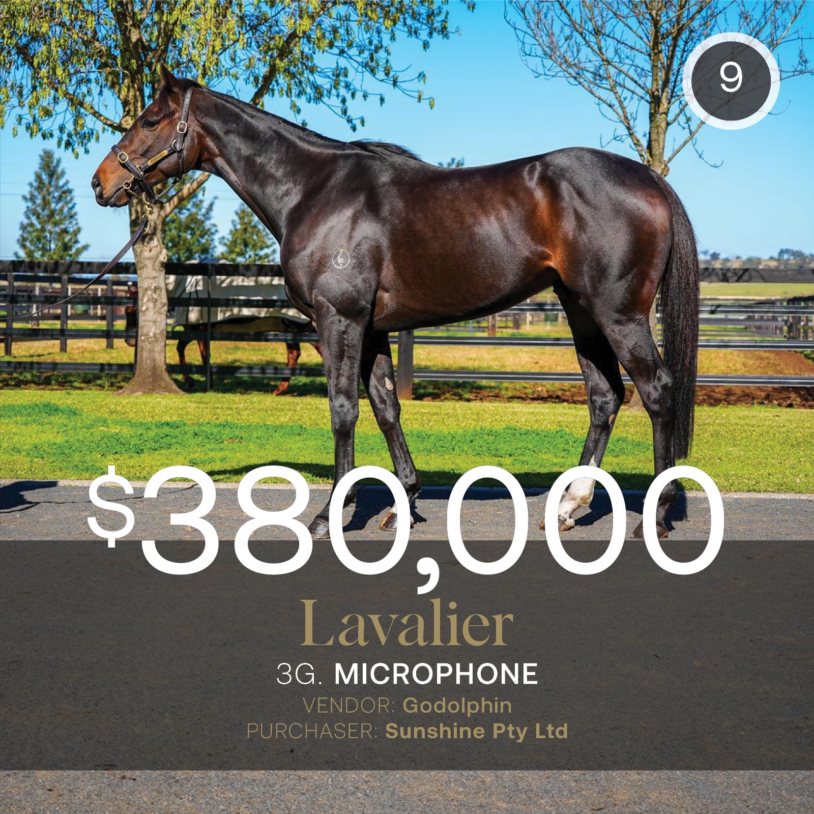 July (Early) Sale soars to gross of more than $7m