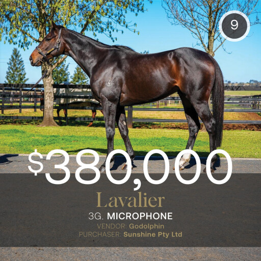 July (Early) Sale soars to gross of more than $7m