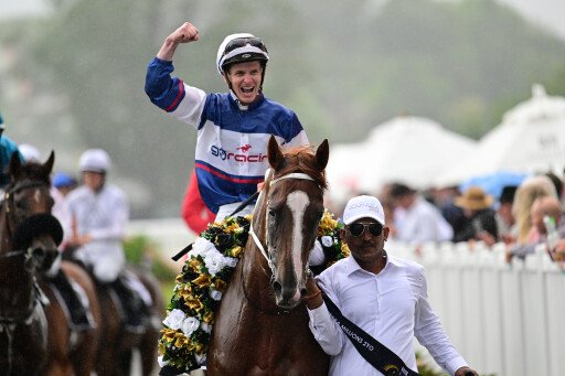 G1 winner Velocious one of many stars in July (Late) Sale