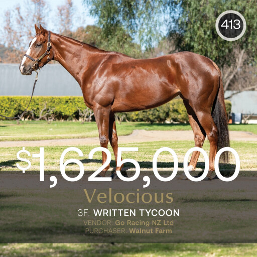Velocious sells for staggering $1.625m on Inglis Digital