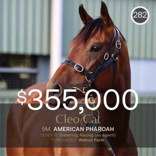 Cleo Cat tops August (Early) Sale at $355,000