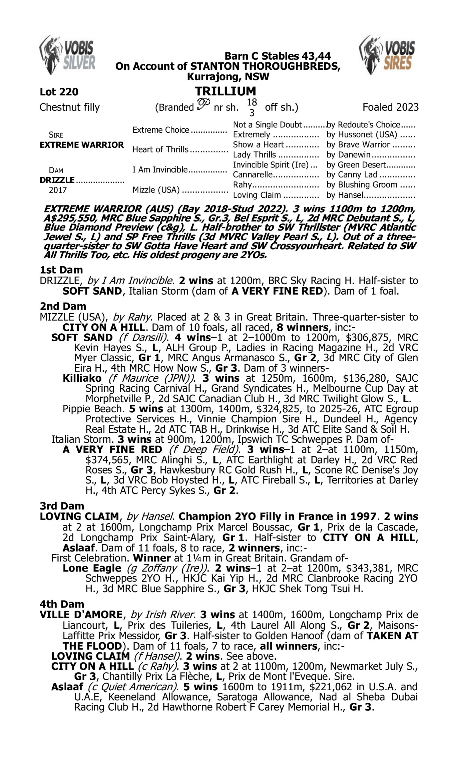 Pedigree for Lot 220 Extreme Warrior - Drizzle