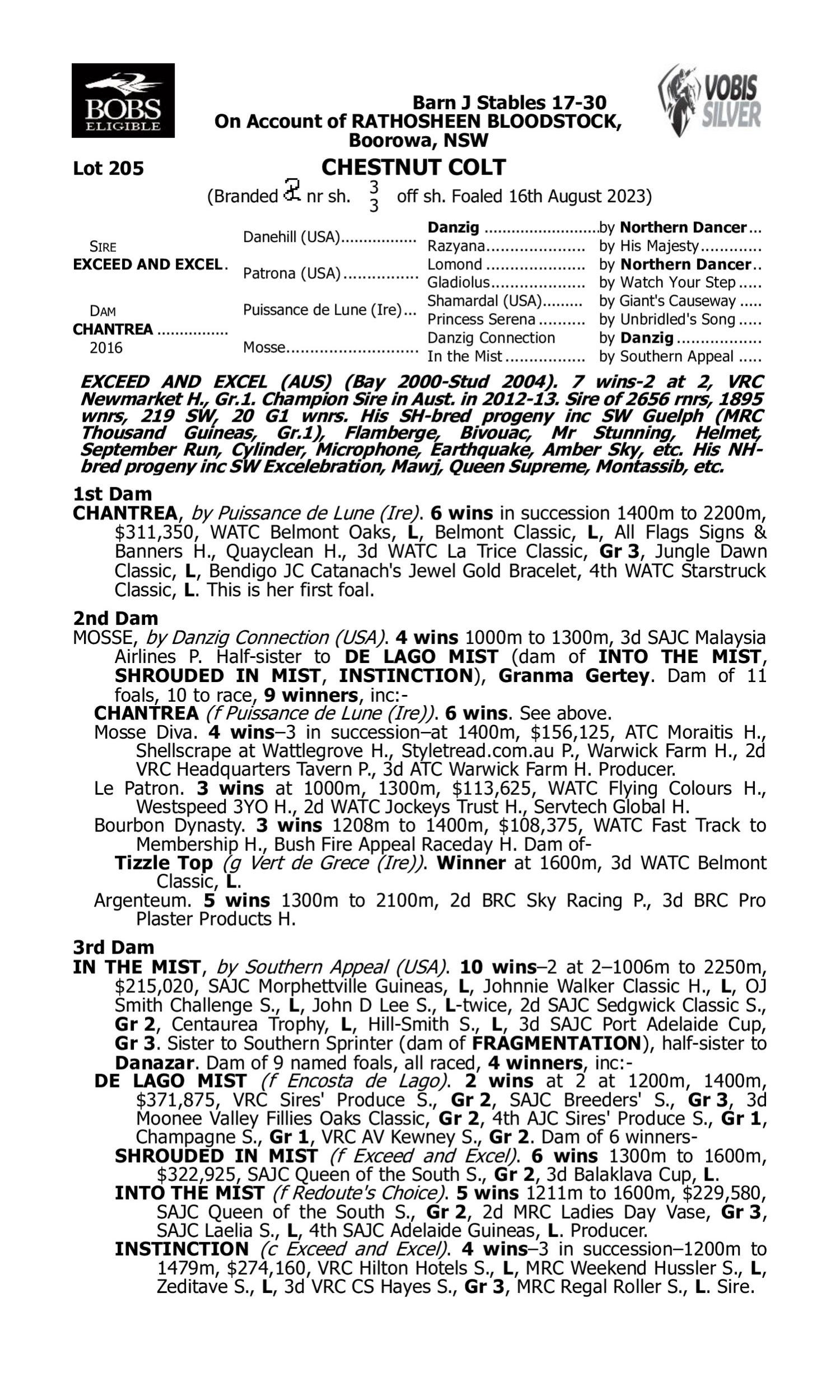 Pedigree for Lot 205 Exceed and Excel - Chantrea