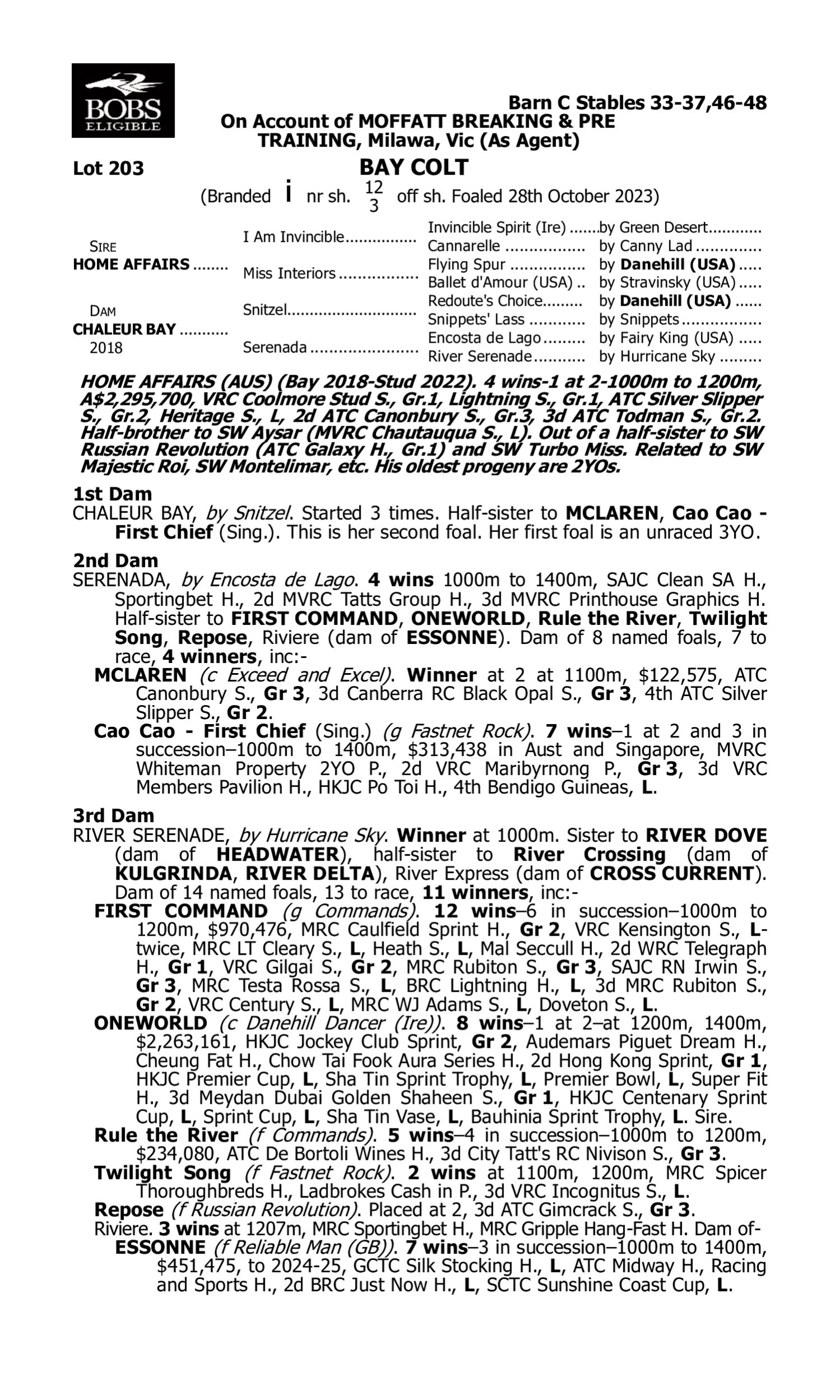 Pedigree for Lot 203 Home Affairs - Chaleur Bay