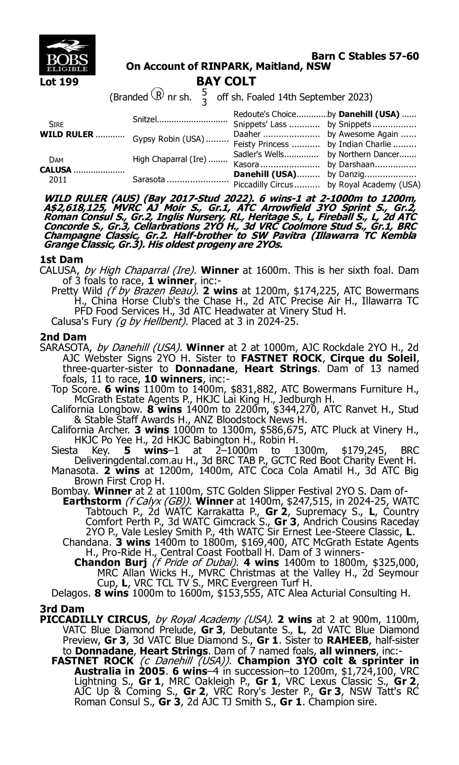 Pedigree for Lot 199 Wild Ruler - Calusa