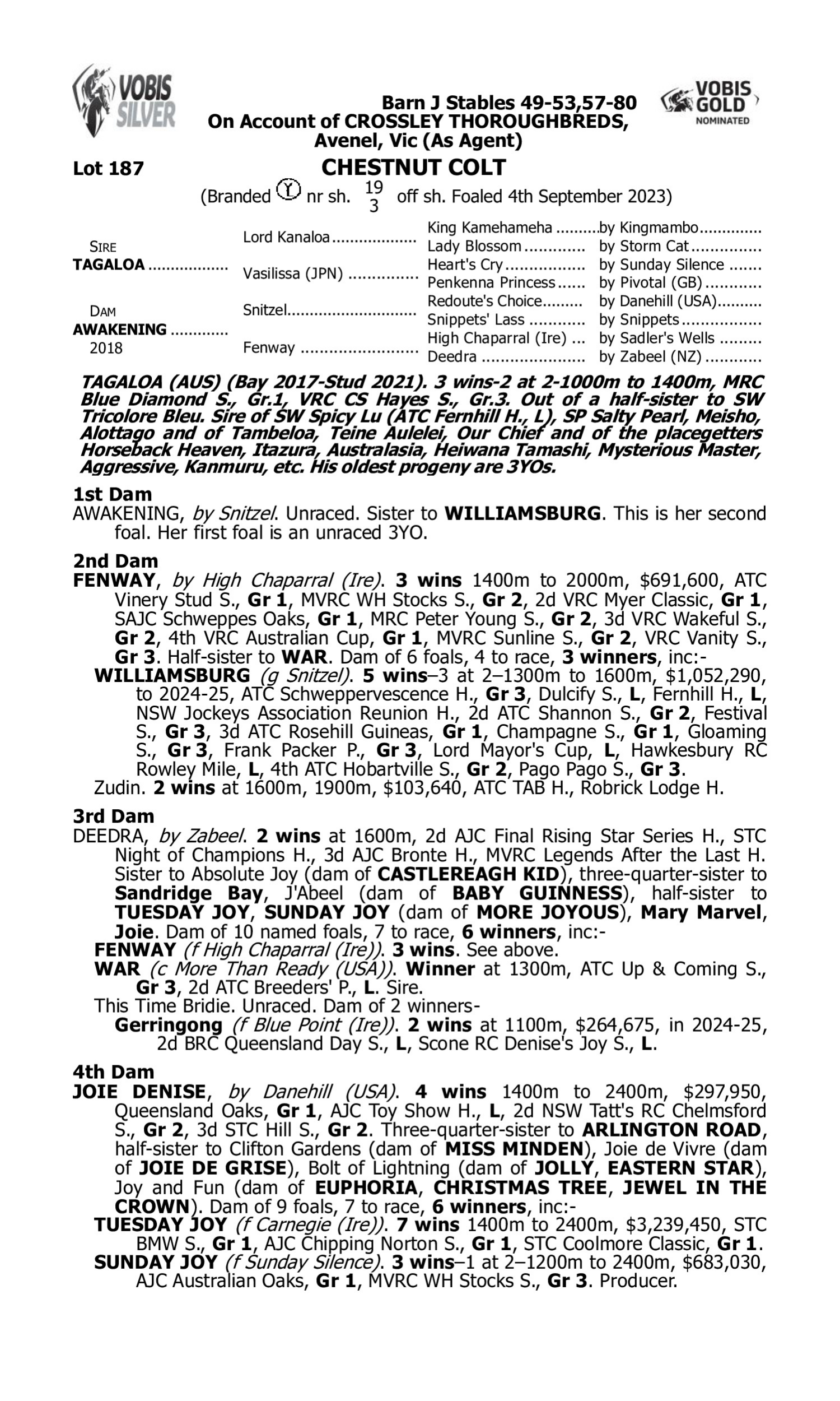 Pedigree for Lot 187 Tagaloa - Awakening
