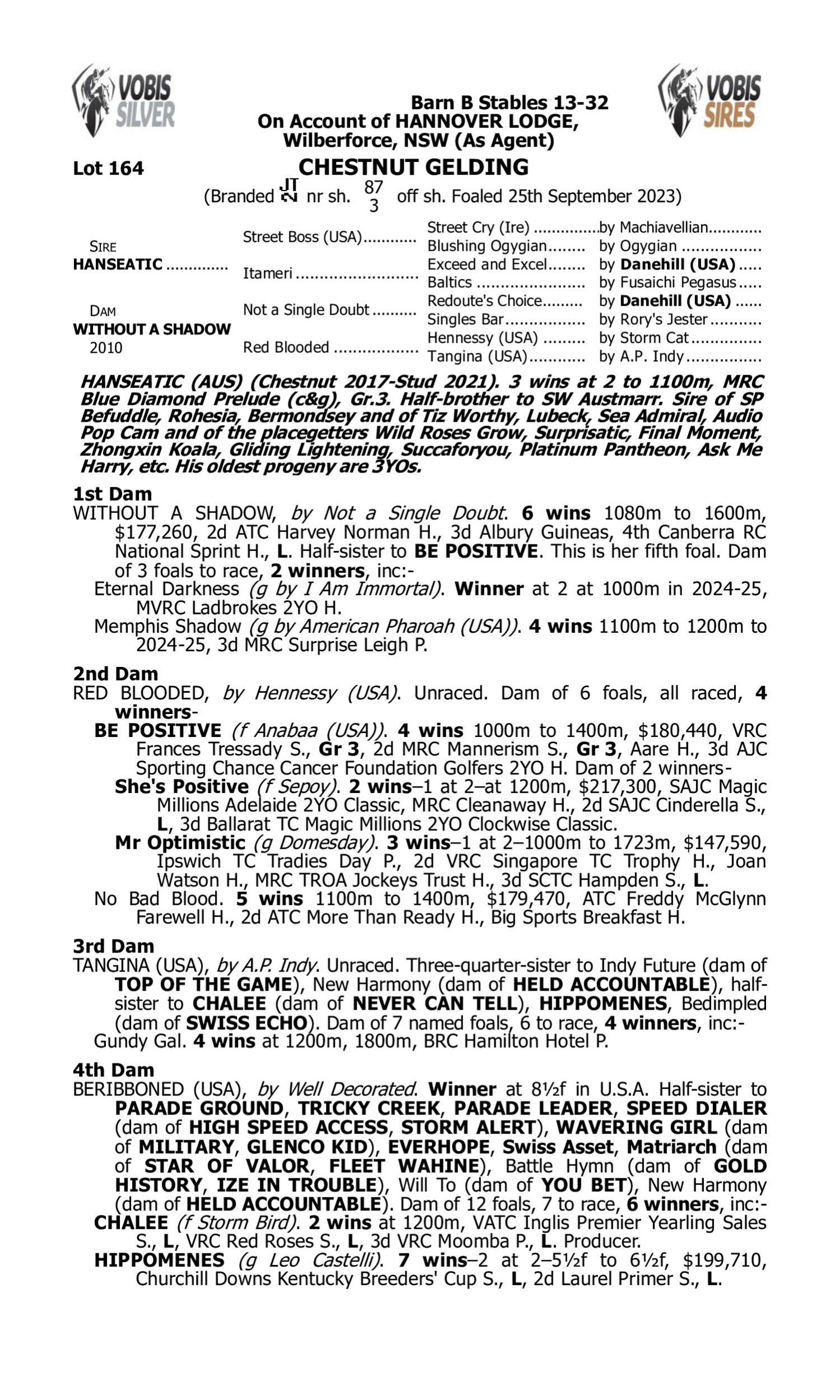 Pedigree for Lot 164 Hanseatic - Without a Shadow