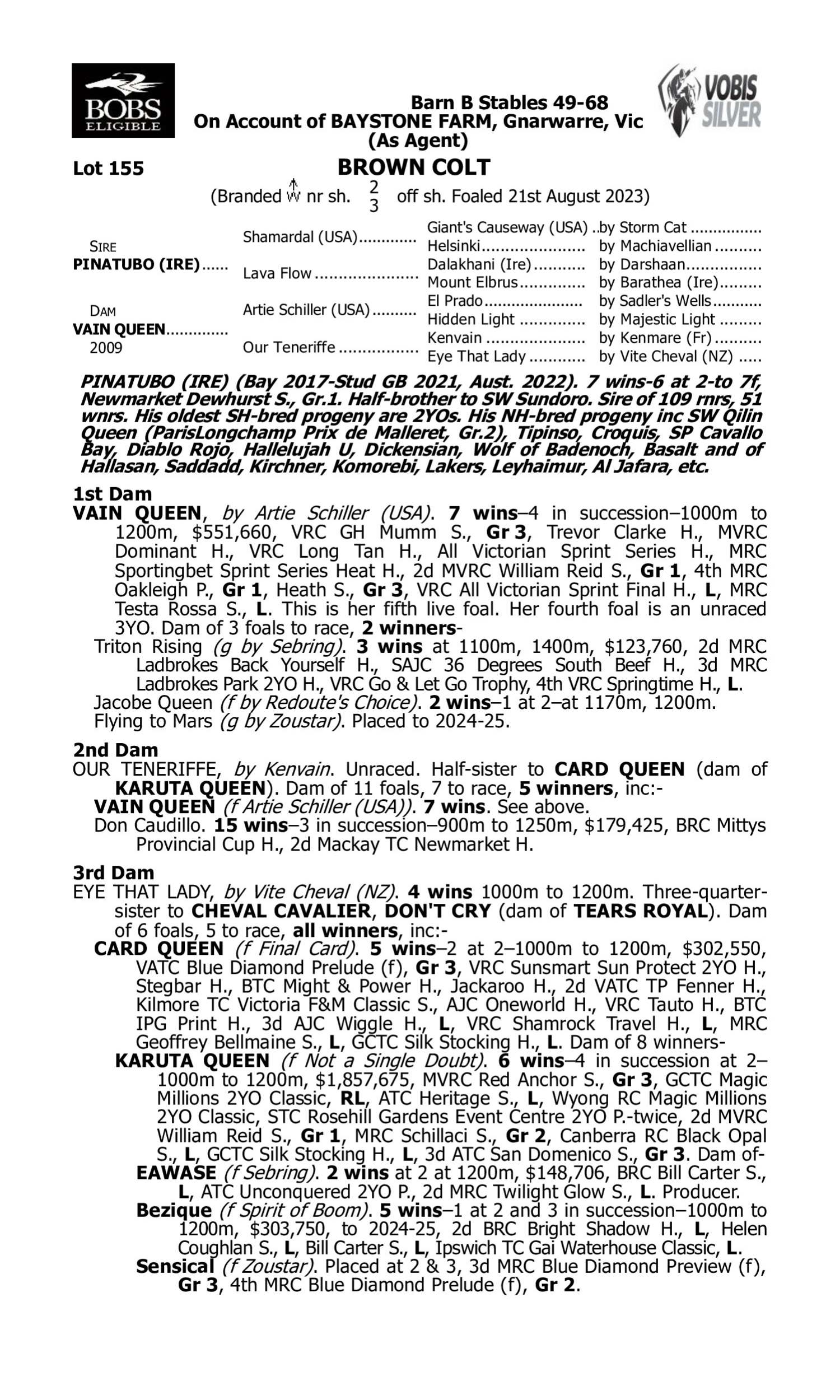 Pedigree for Lot 155 Pinatubo (IRE) - Vain Queen