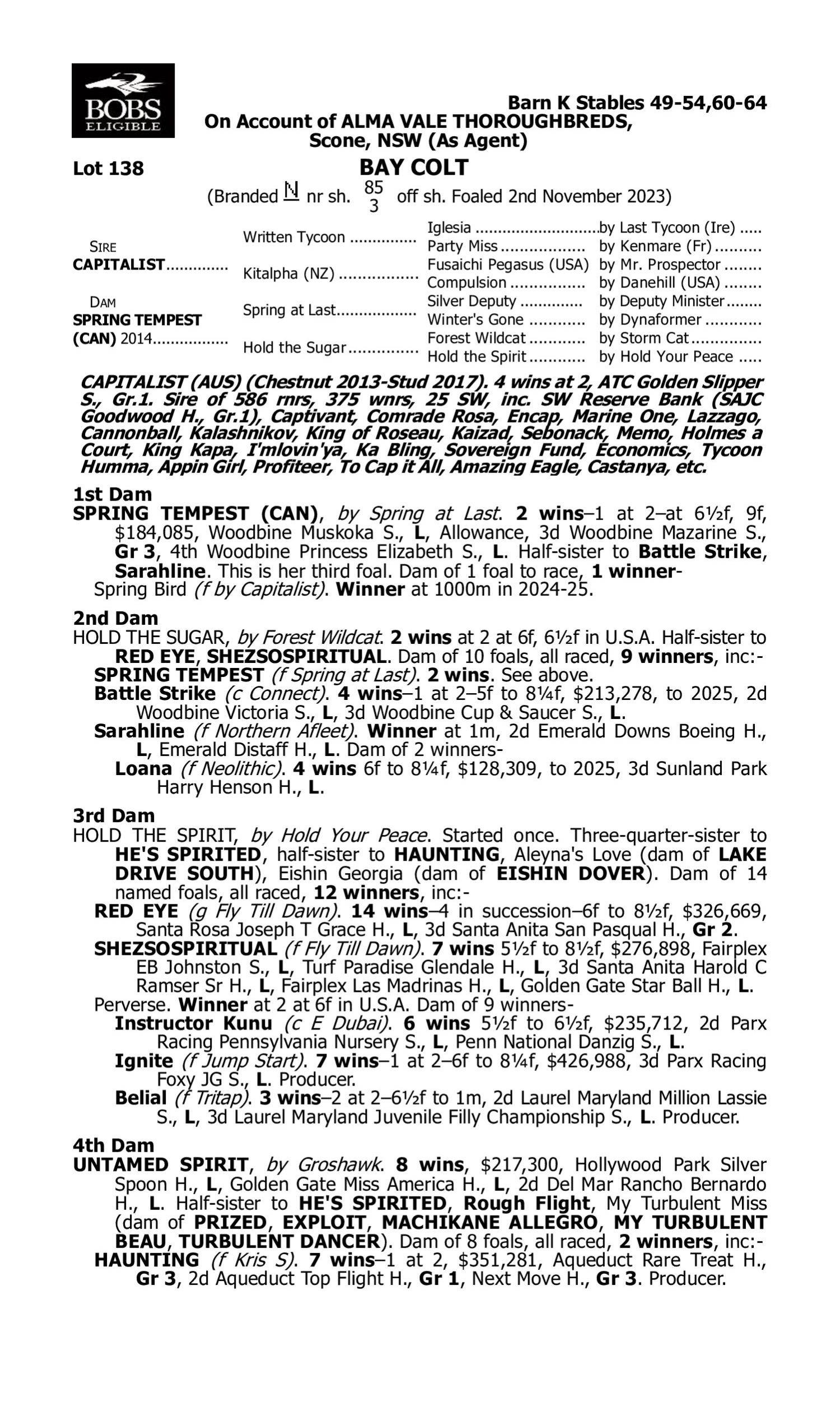 Pedigree for Lot 138 Capitalist - Spring Tempest (CAN)