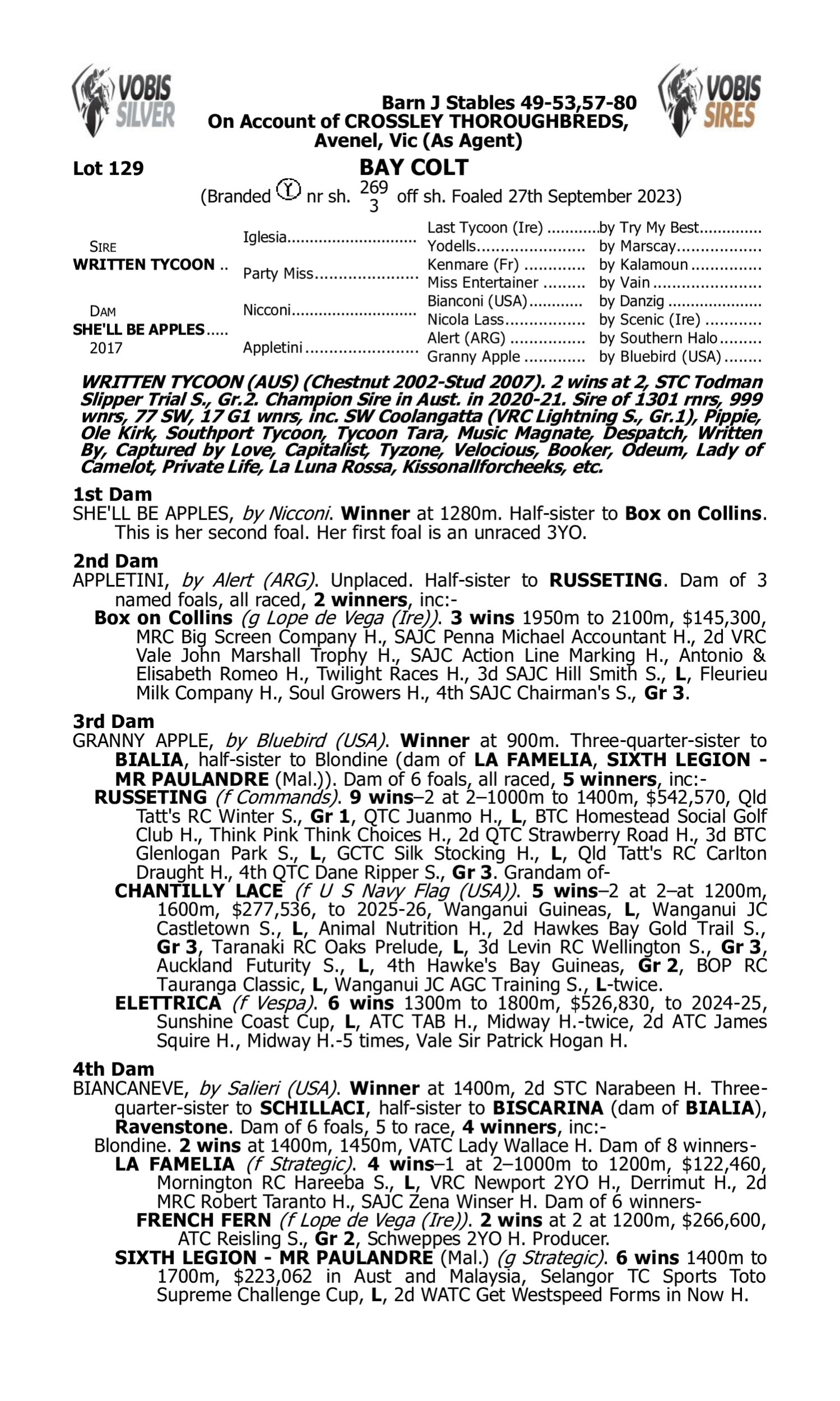 Pedigree for Lot 129 Written Tycoon - She'll be Apples