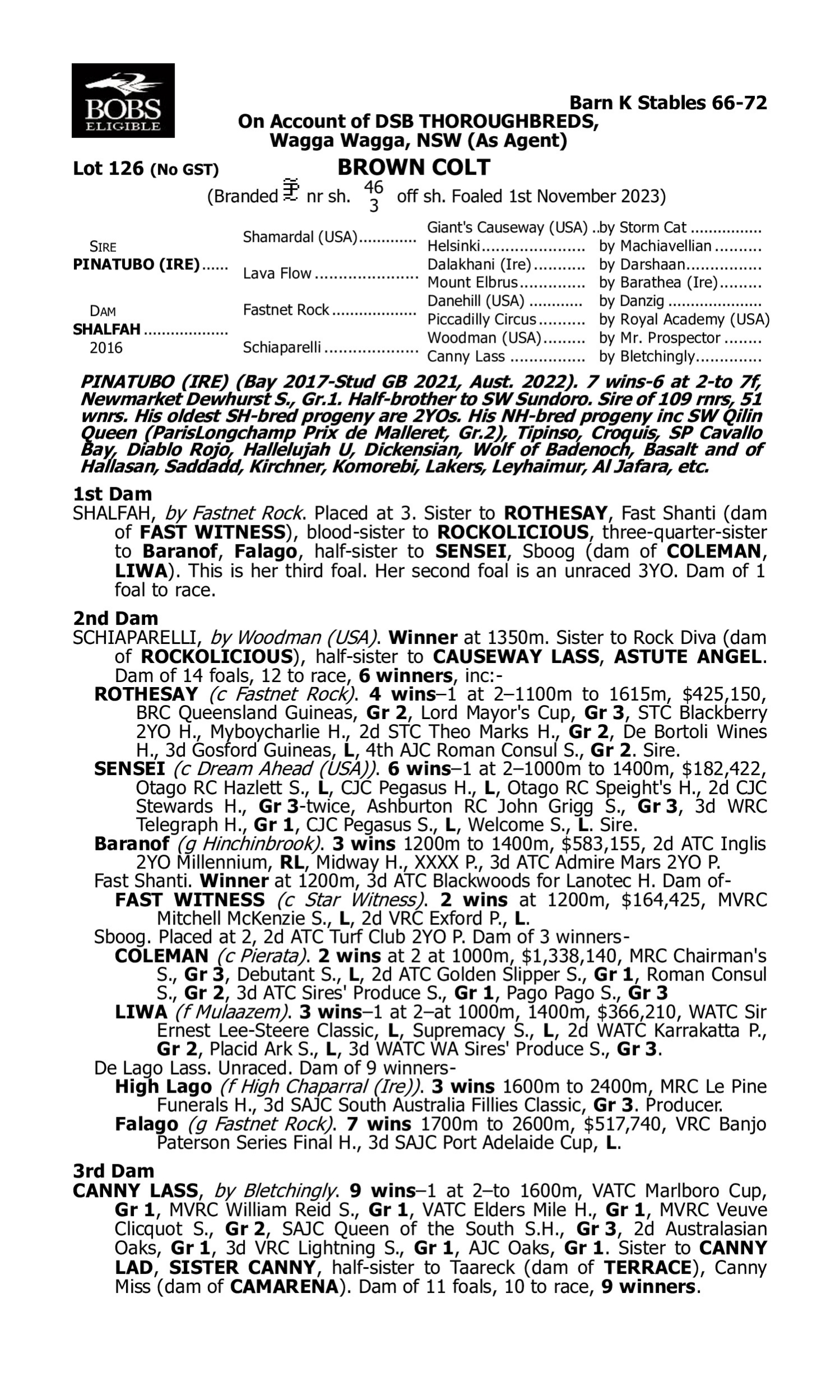 Pedigree for Lot 126 Pinatubo (IRE) - Shalfah