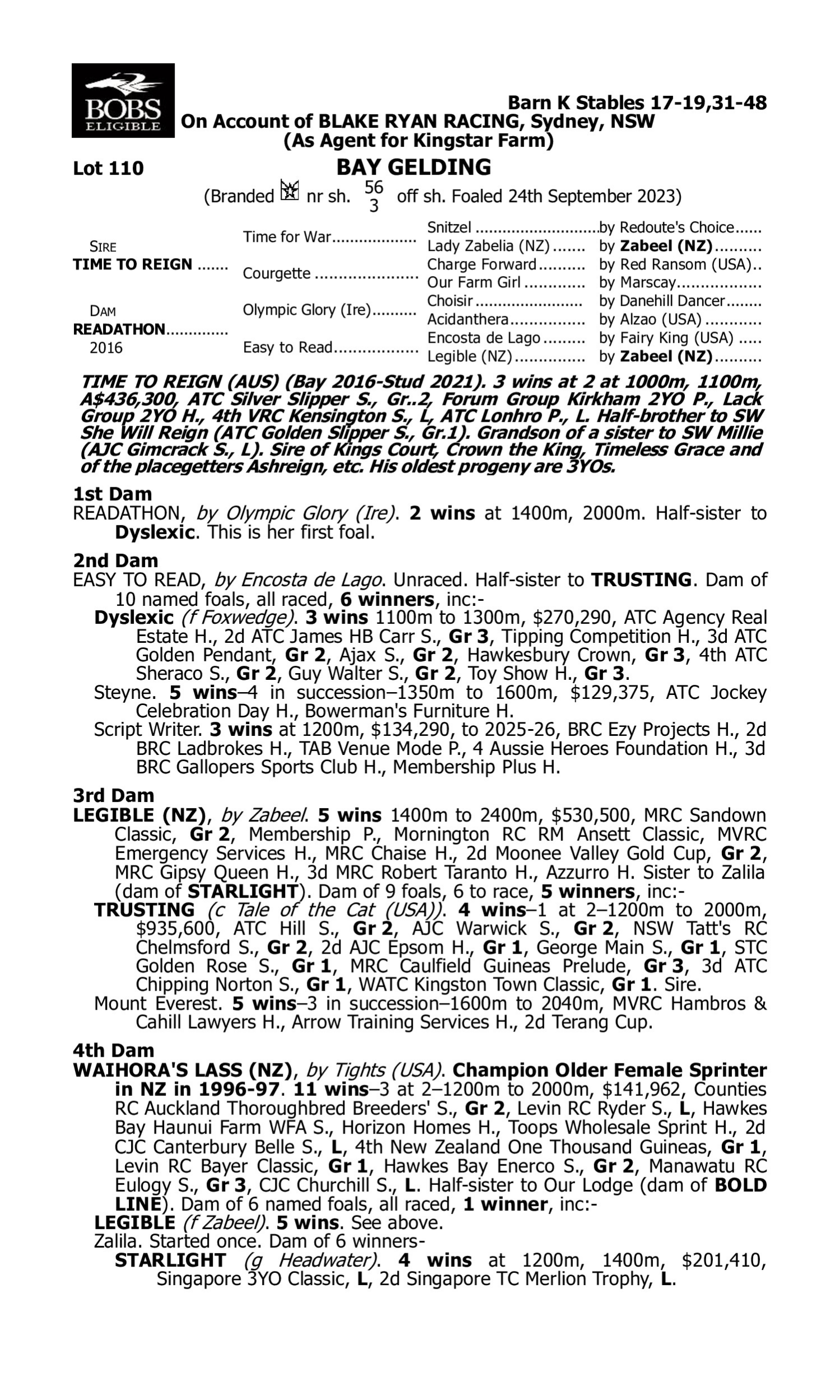 Pedigree for Lot 110 Time to Reign - Readathon