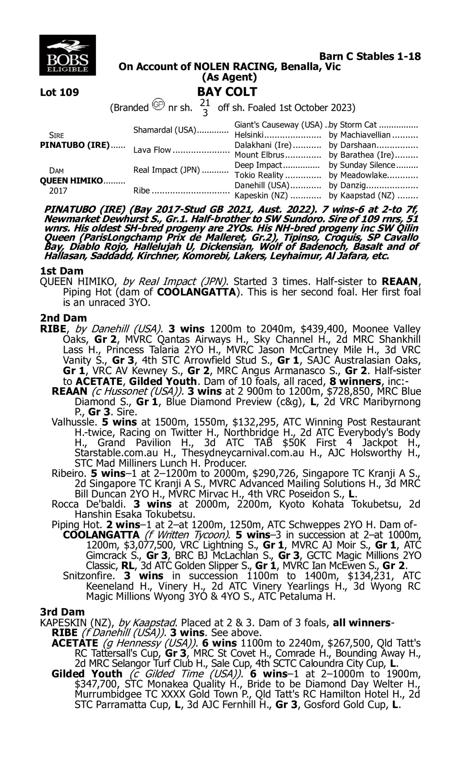 Pedigree for Lot 109 Pinatubo (IRE) - Queen Himiko