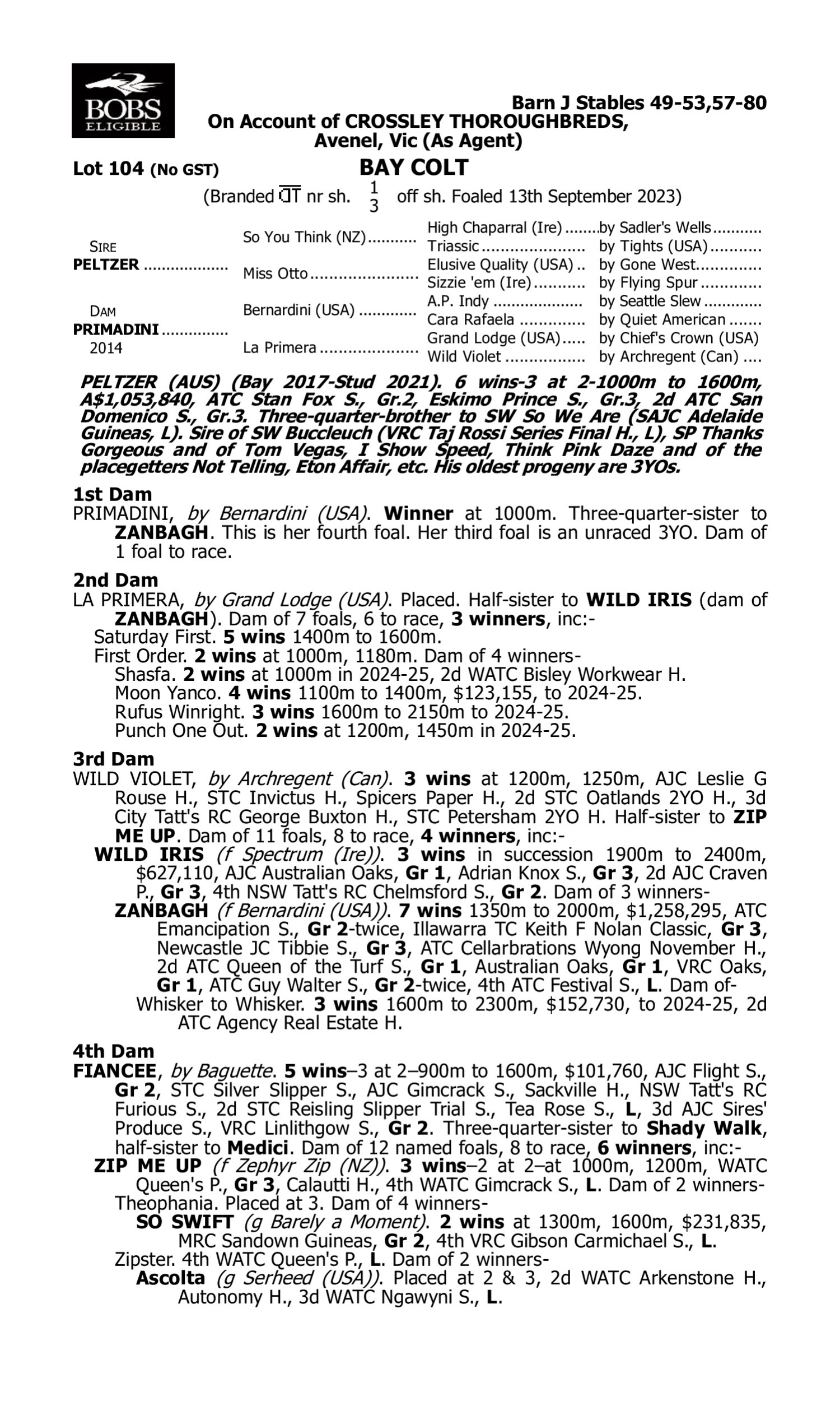 Pedigree for Lot 104 Peltzer - Primadini