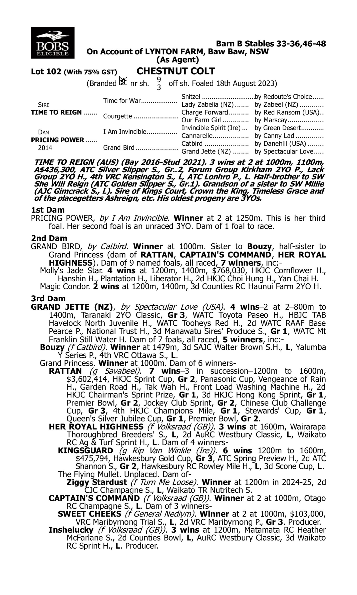 Pedigree for Lot 102 Time to Reign - Pricing Power