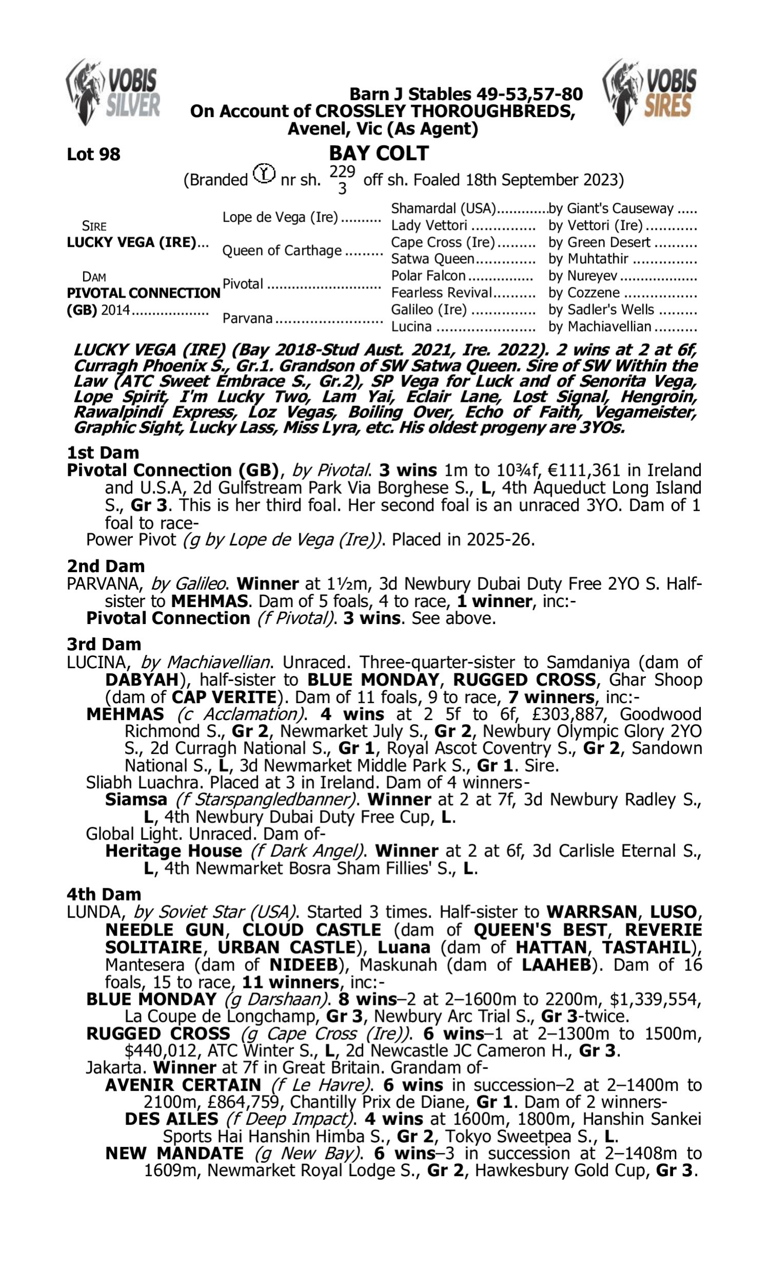 Pedigree for Lot 98 Lucky Vega (IRE) - Pivotal Connection (GB)