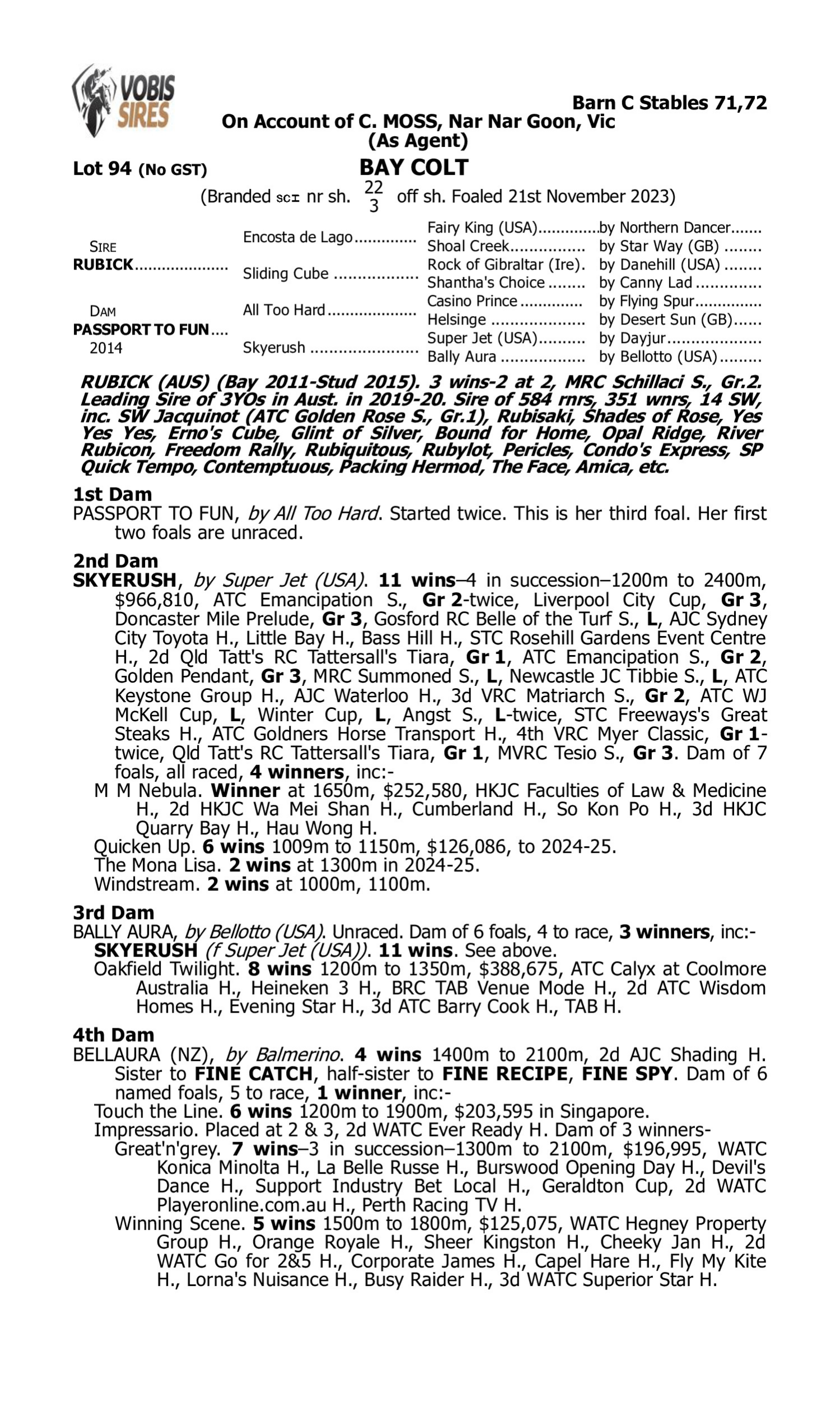 Pedigree for Lot 94 Rubick - Passport to Fun