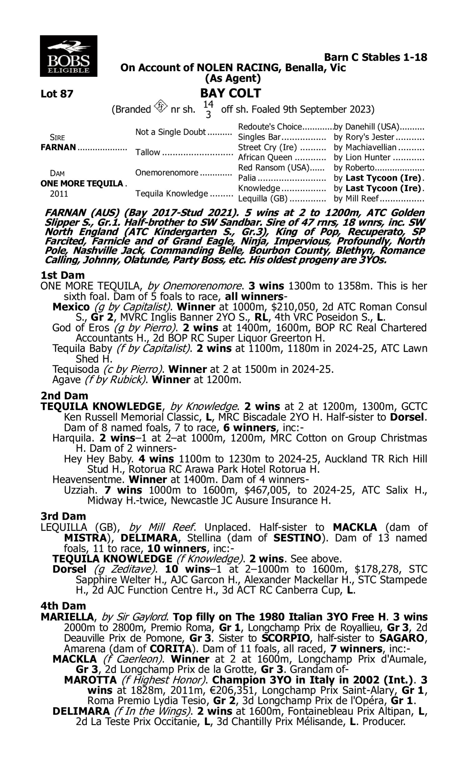 Pedigree for Lot 87 Farnan - One More Tequila