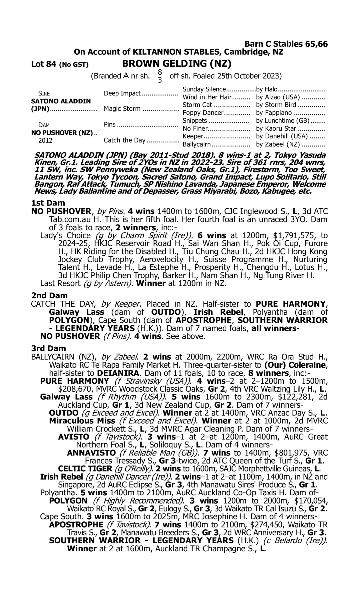 Pedigree for Lot 84 Satono Aladdin (JPN) - No Pushover (NZ)