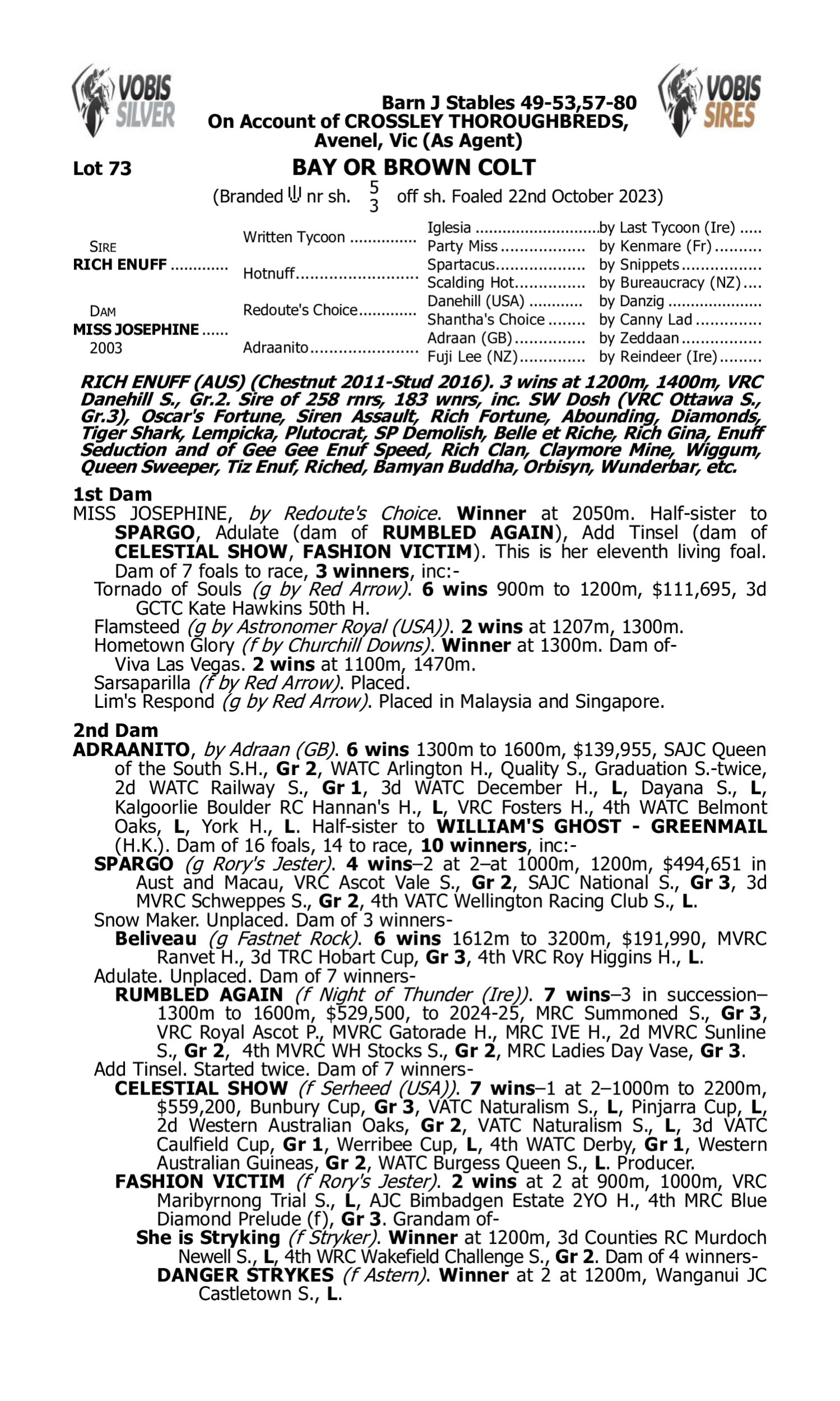 Pedigree for Lot 73 Rich Enuff - Miss Josephine