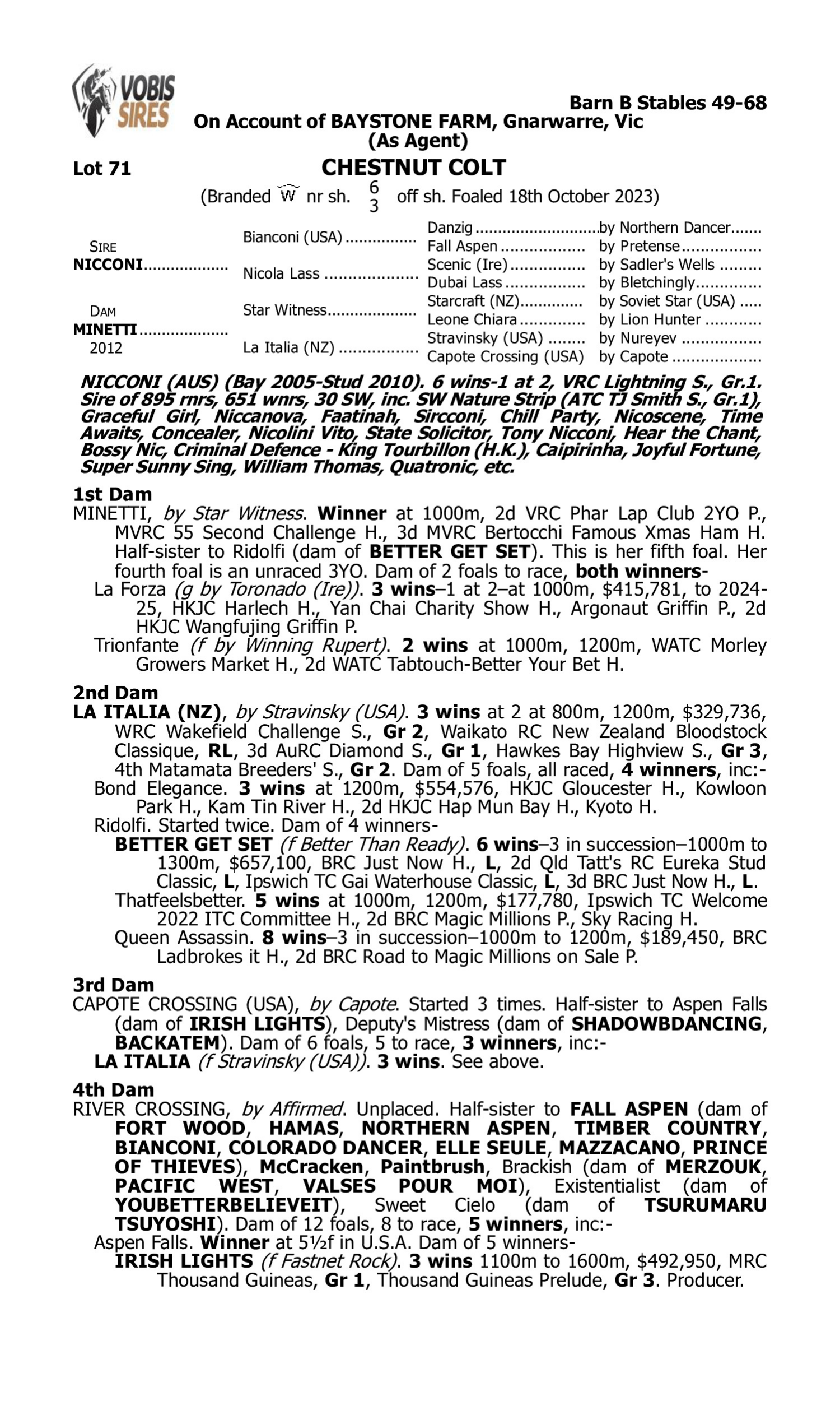 Pedigree for Lot 71 Nicconi - Minetti