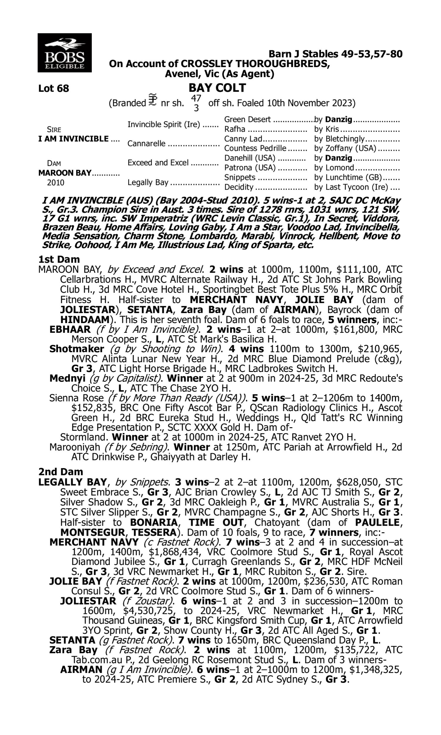 Pedigree for Lot 68 I Am Invincible - Maroon Bay