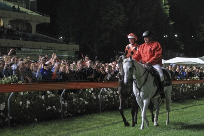 Black Caviar will miss spring carnival