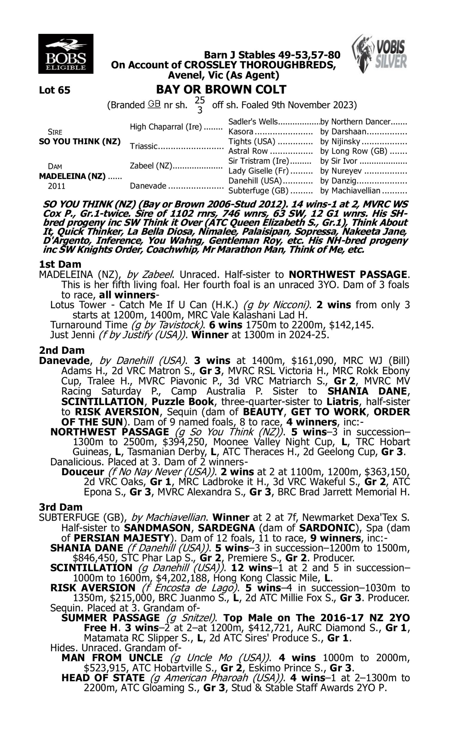 Pedigree for Lot 65 So You Think (NZ) - Madeleina (NZ)