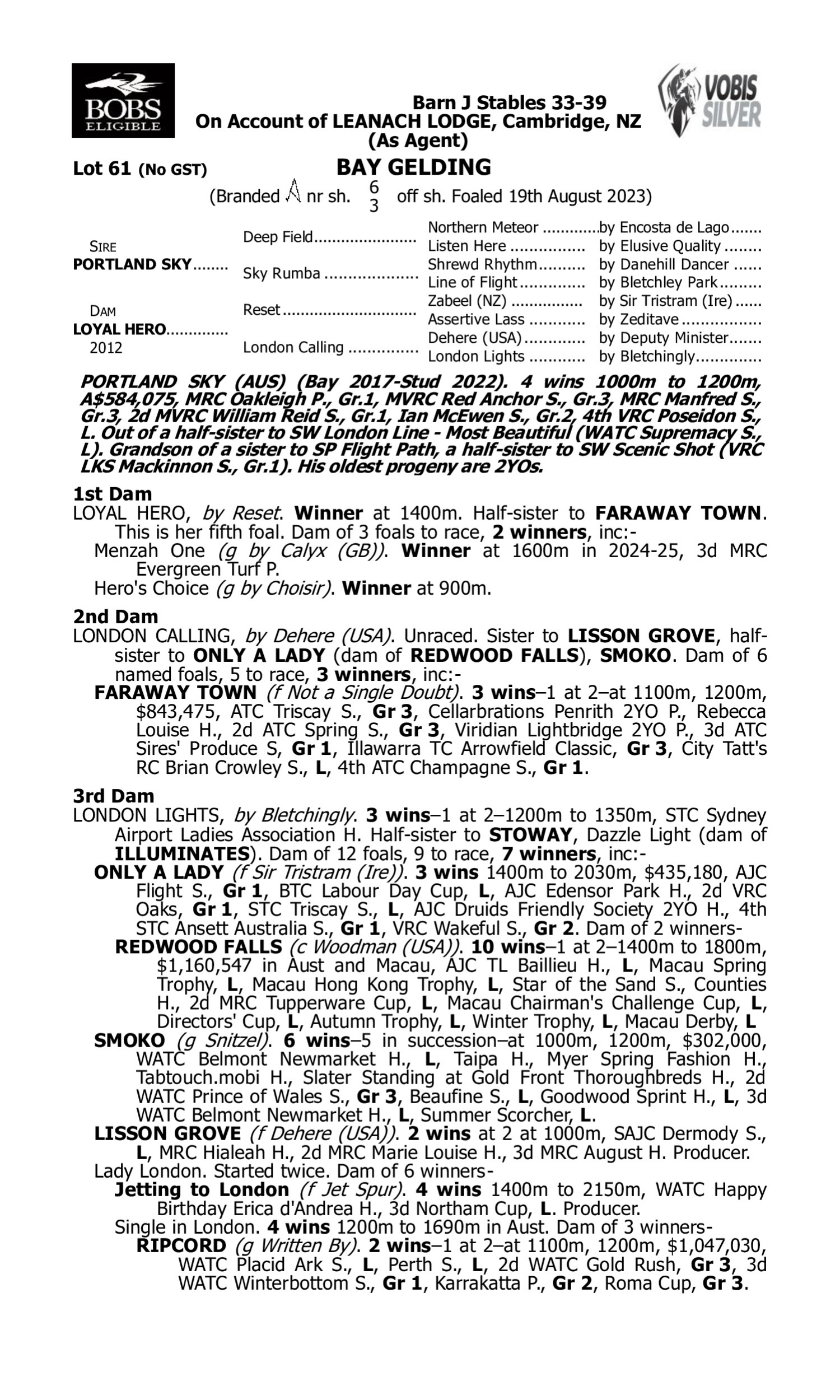 Pedigree for Lot 61 Portland Sky - Loyal Hero
