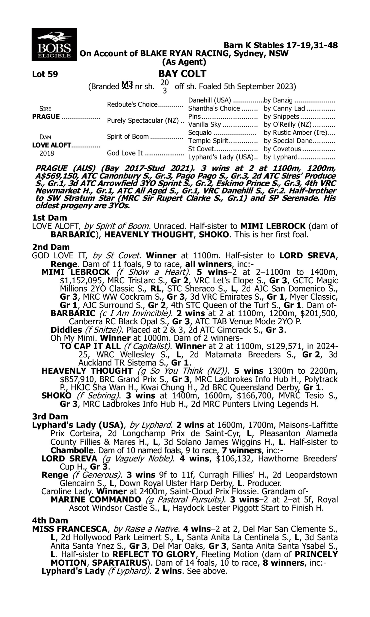 Pedigree for Lot 59 Prague - Love Aloft