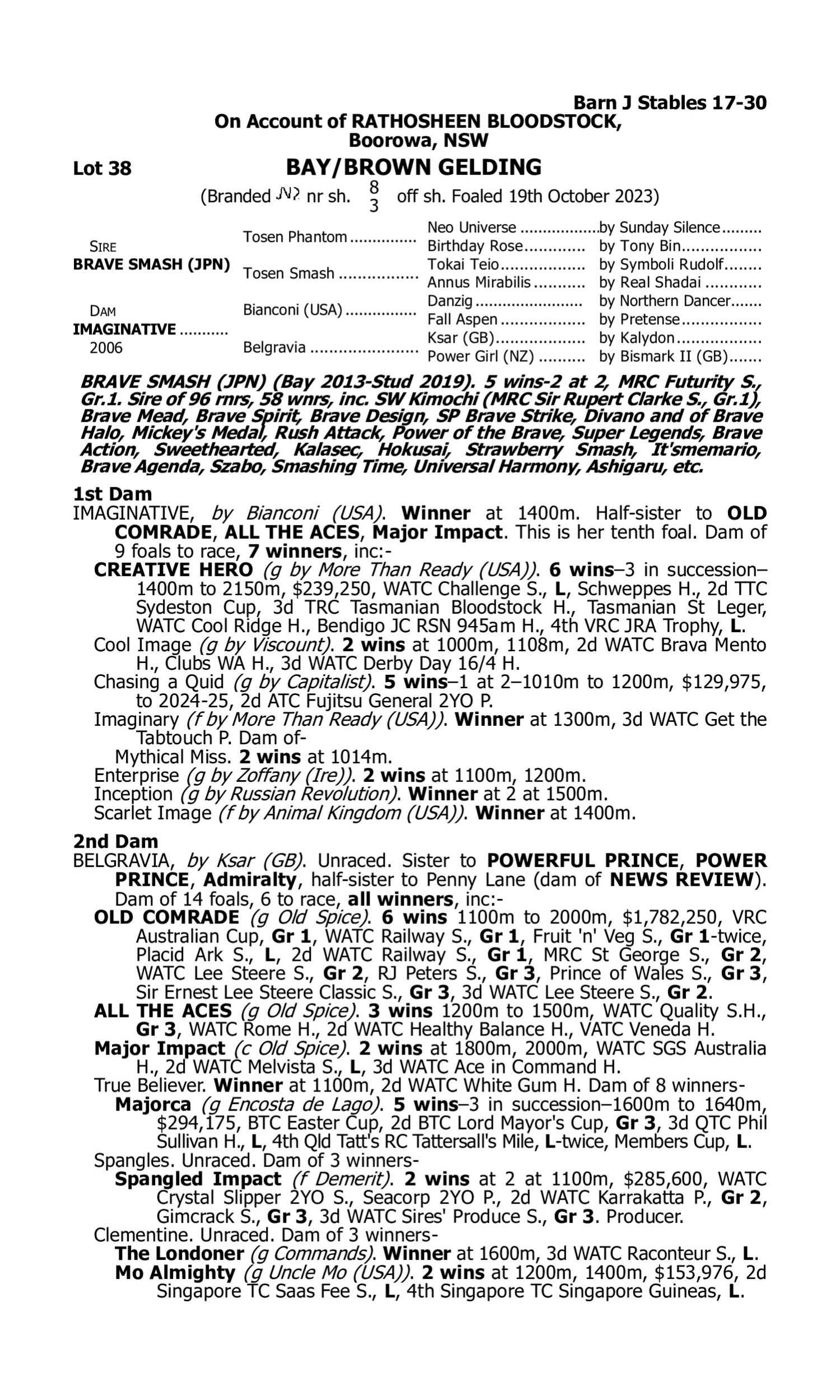 Pedigree for Lot 38 Brave Smash (JPN) - Imaginative