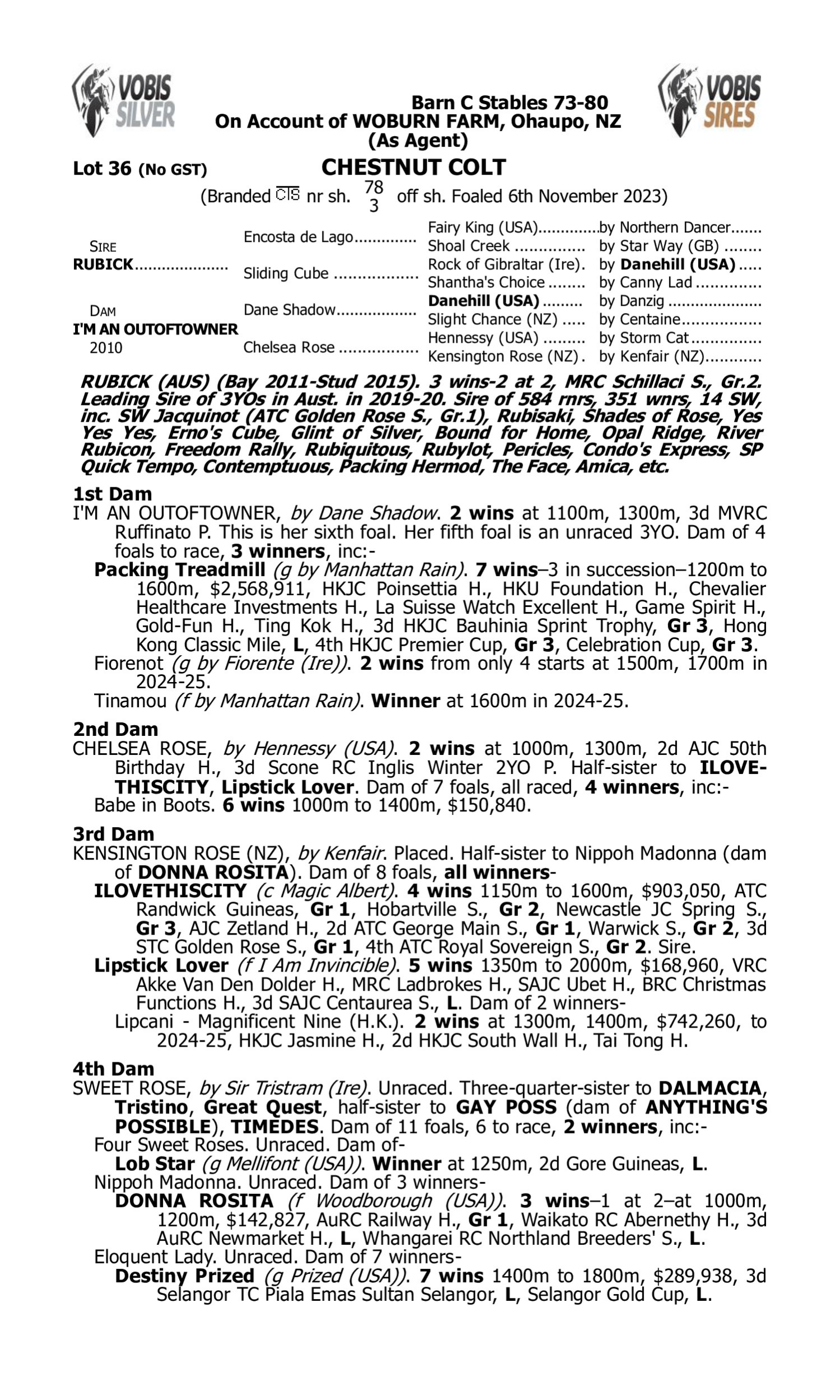 Pedigree for Lot 36 Rubick - I'm an Outoftowner
