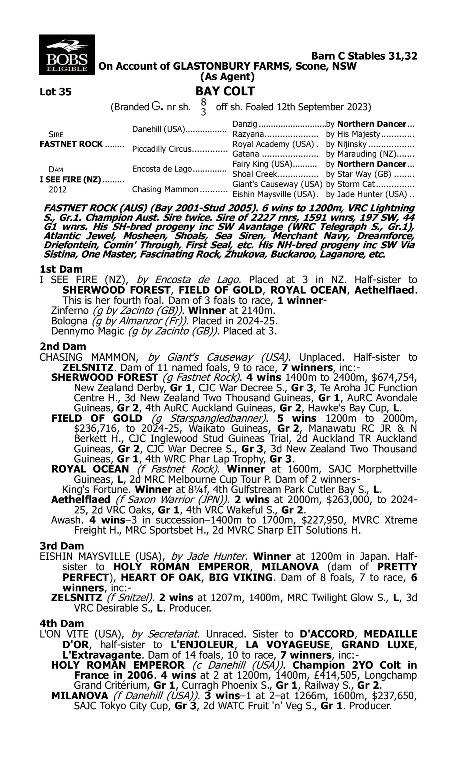 Pedigree for Lot 35 Fastnet Rock - I See Fire (NZ)