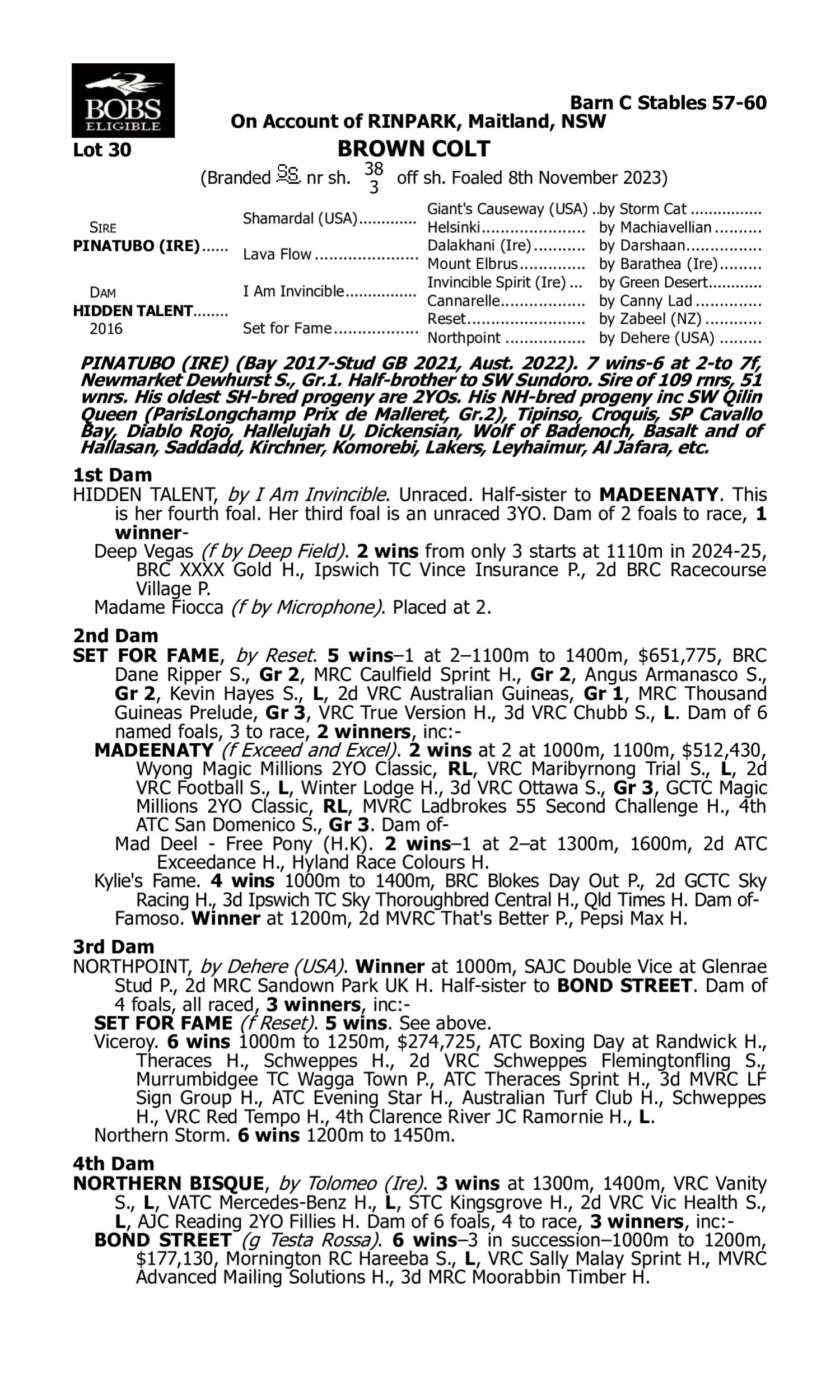 Pedigree for Lot 30 Pinatubo (IRE) - Hidden Talent