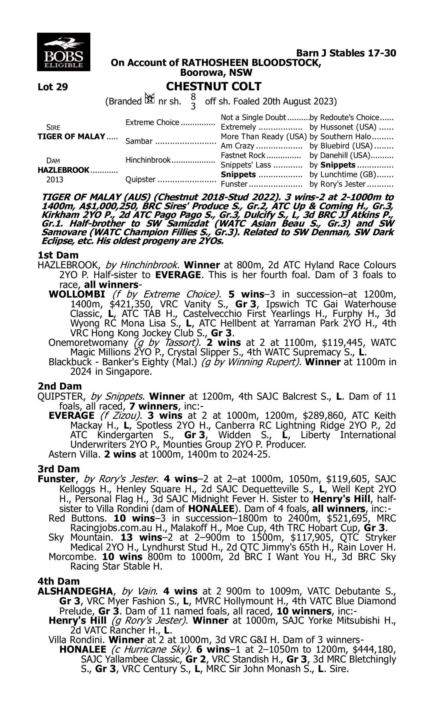 Pedigree for Lot 29 Tiger of Malay - Hazlebrook