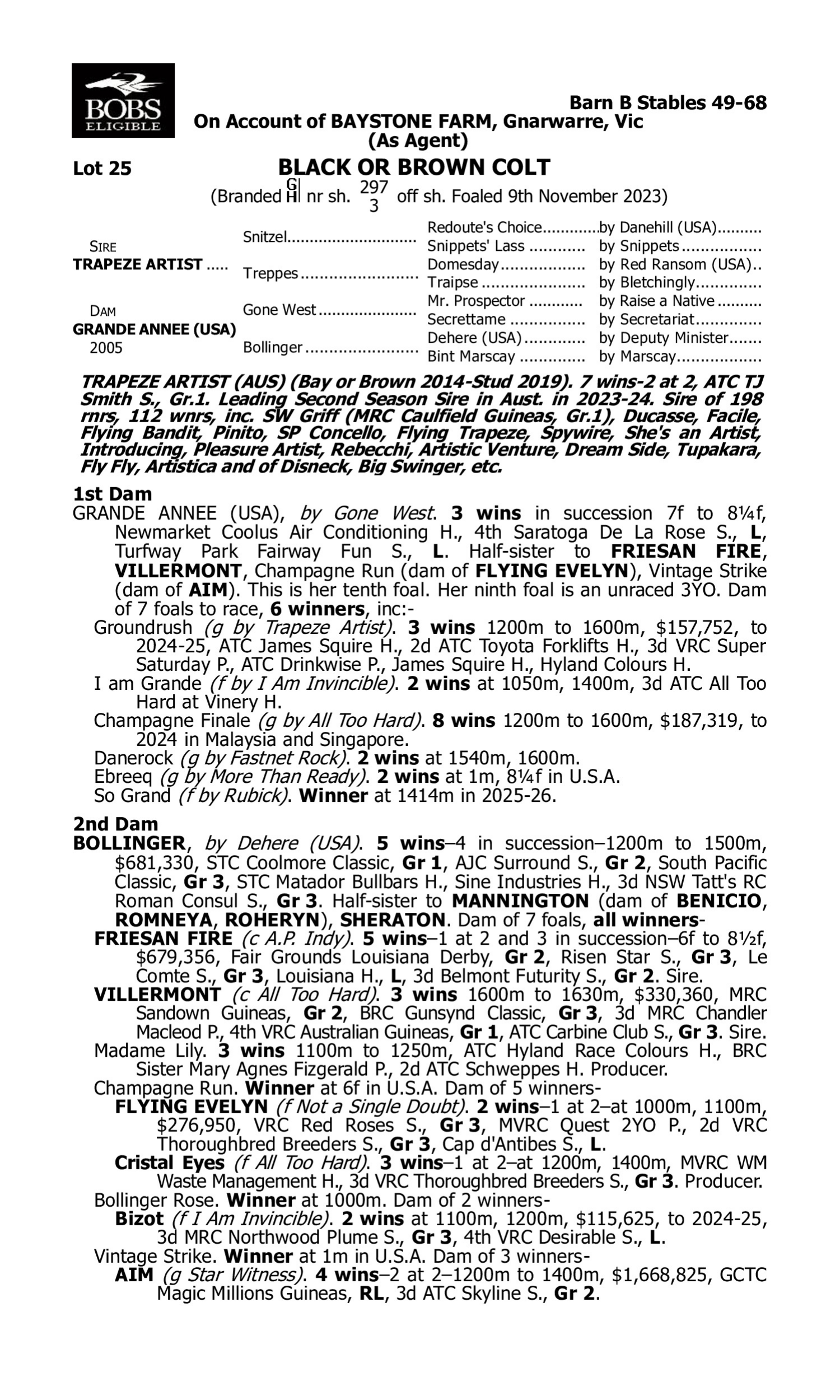 Pedigree for Lot 25 Trapeze Artist - Grande Annee (USA)