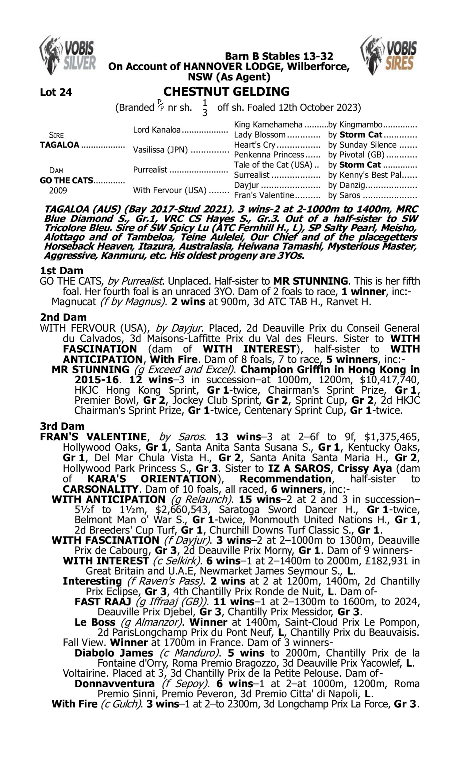 Pedigree for Lot 24 Tagaloa - Go the Cats