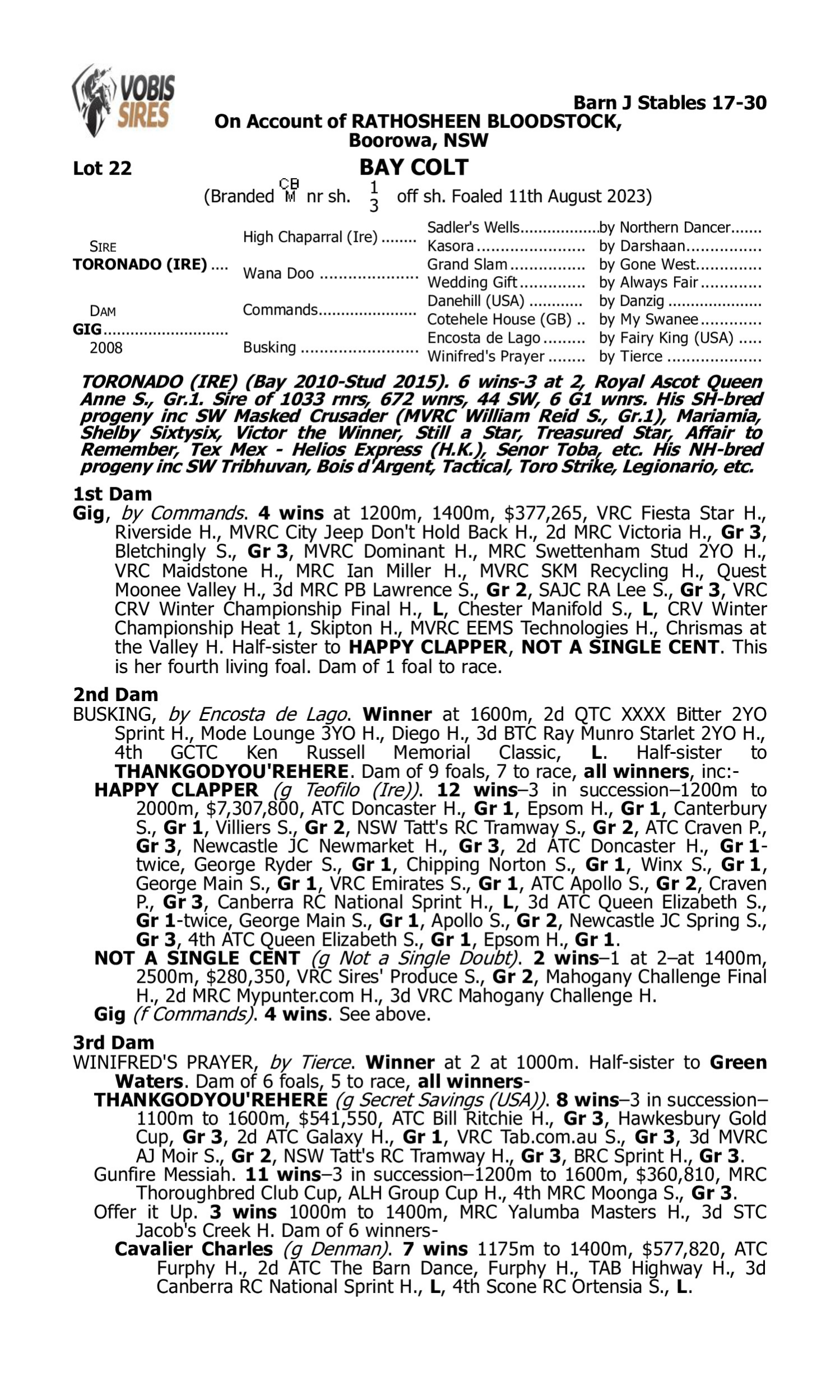 Pedigree for Lot 22 Toronado (IRE) - Gig