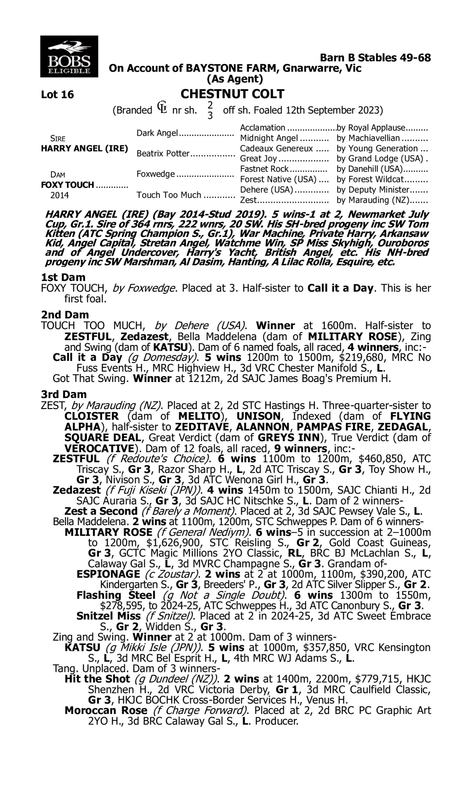 Pedigree for Lot 16 Harry Angel (IRE) - Foxy Touch