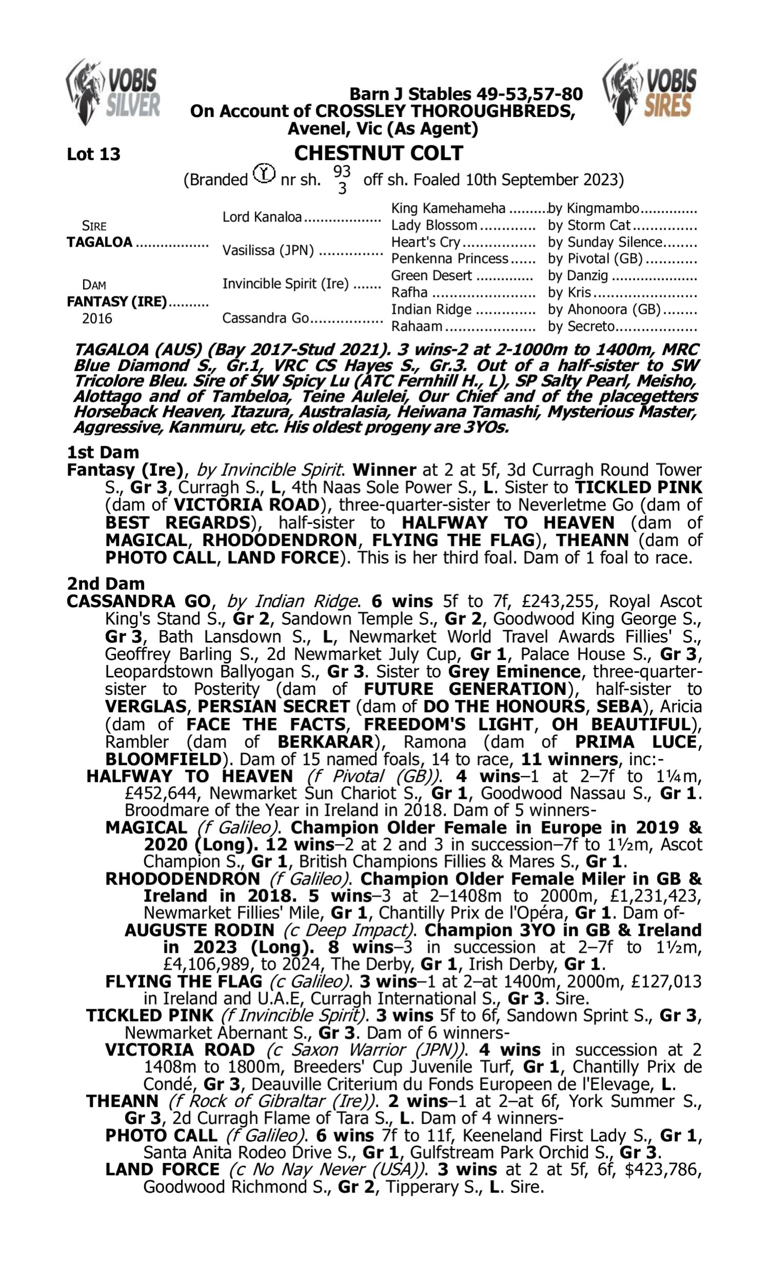 Pedigree for Lot 13 Tagaloa - Fantasy (IRE)