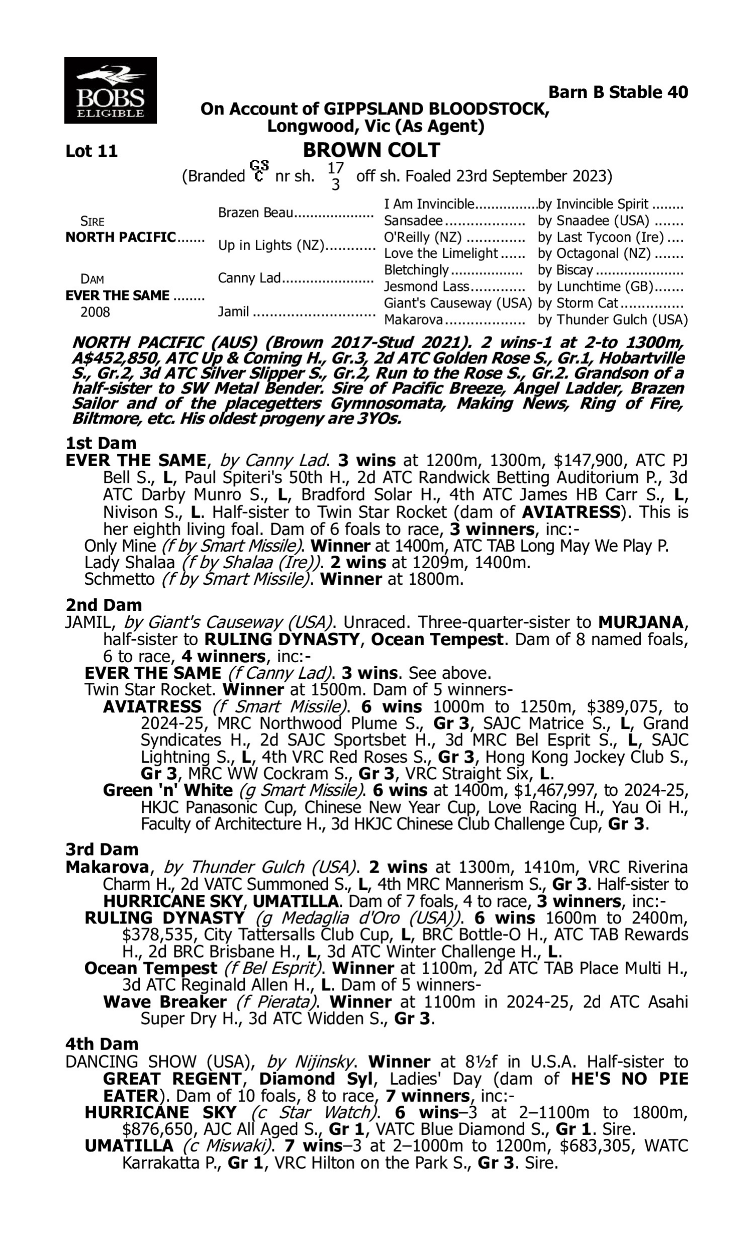 Pedigree for Lot 11 North Pacific - Ever the Same