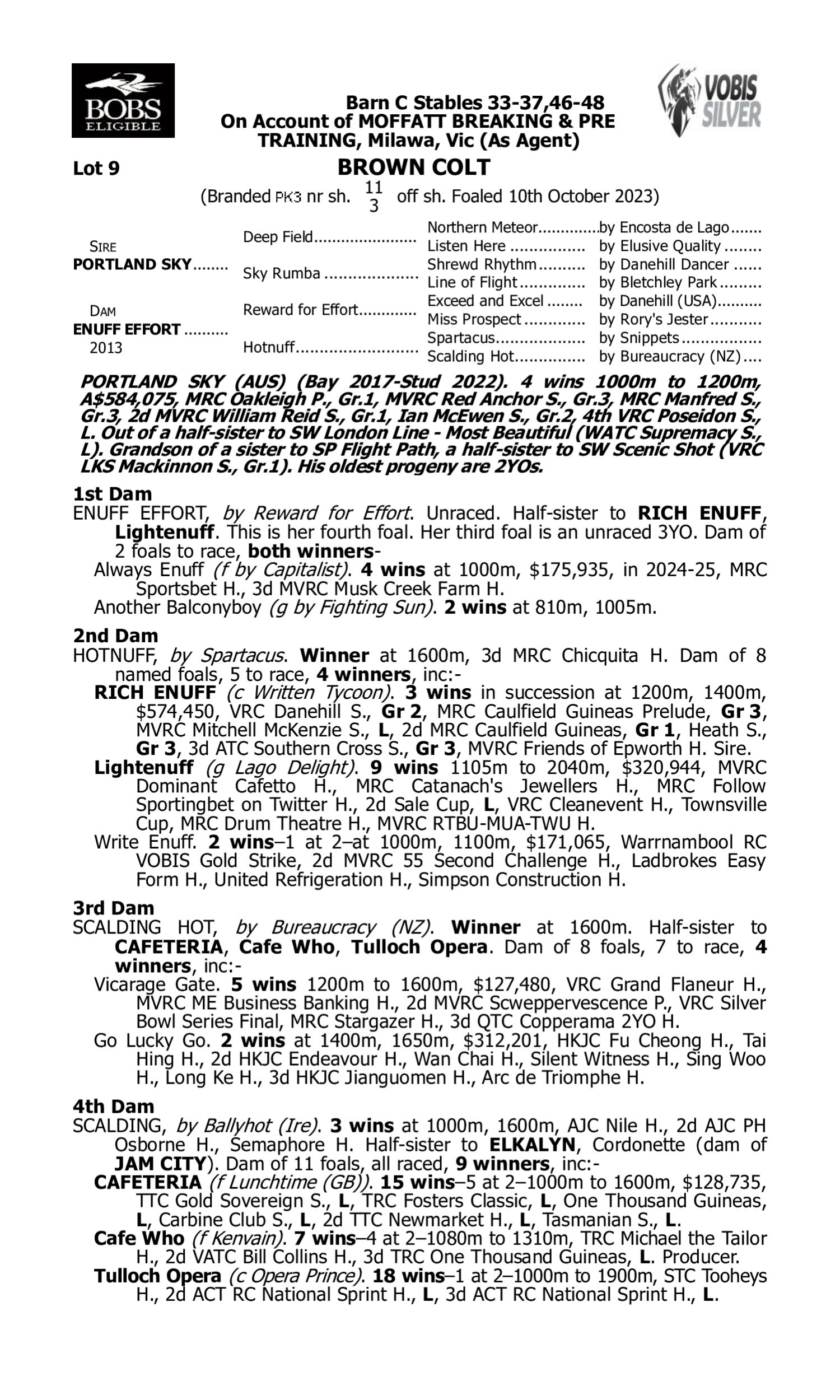 Pedigree for Lot 9 Portland Sky - Enuff Effort